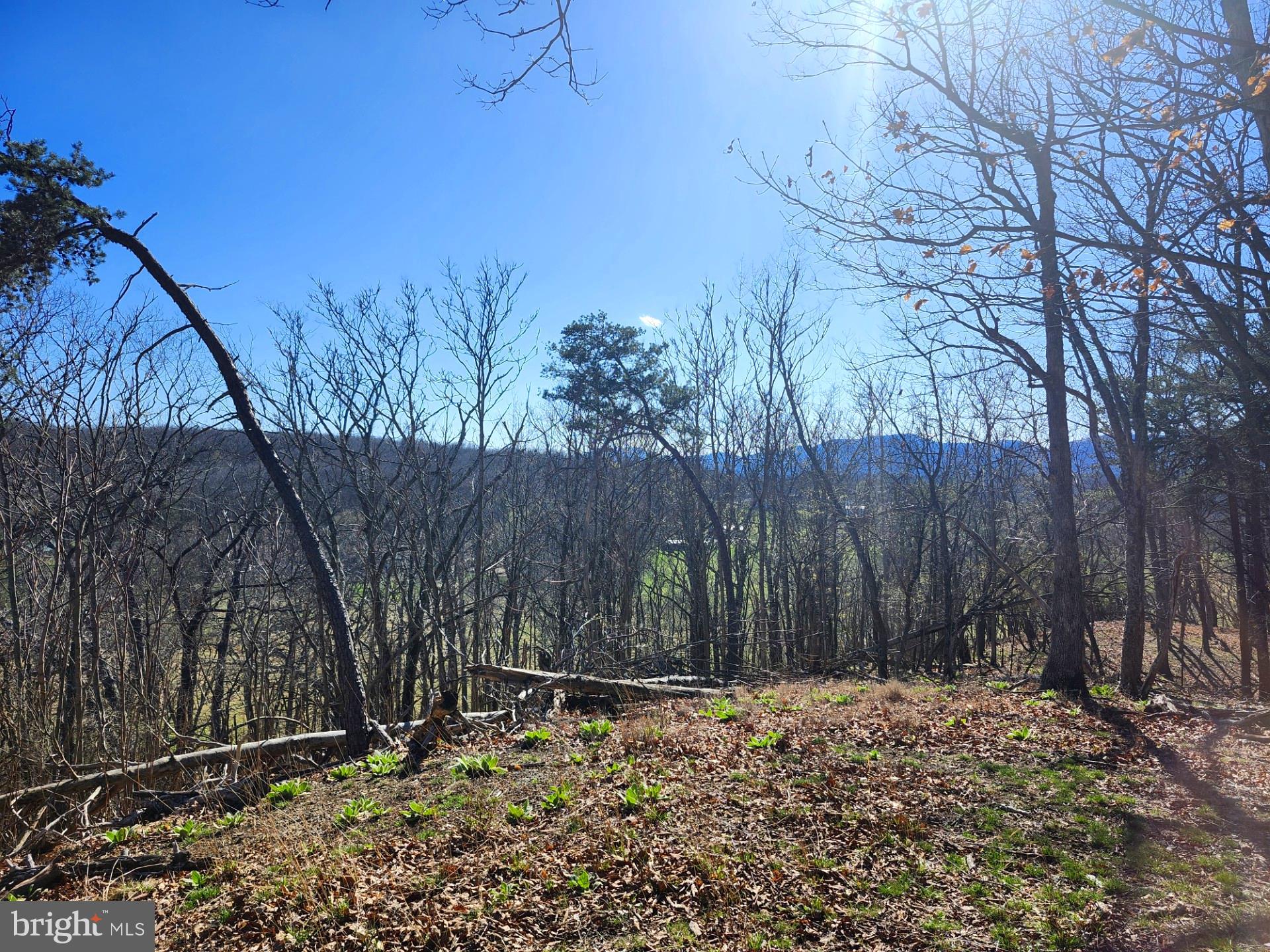 A J Kelley Road Old Fields, WV 26845 - Photo 1 of 36