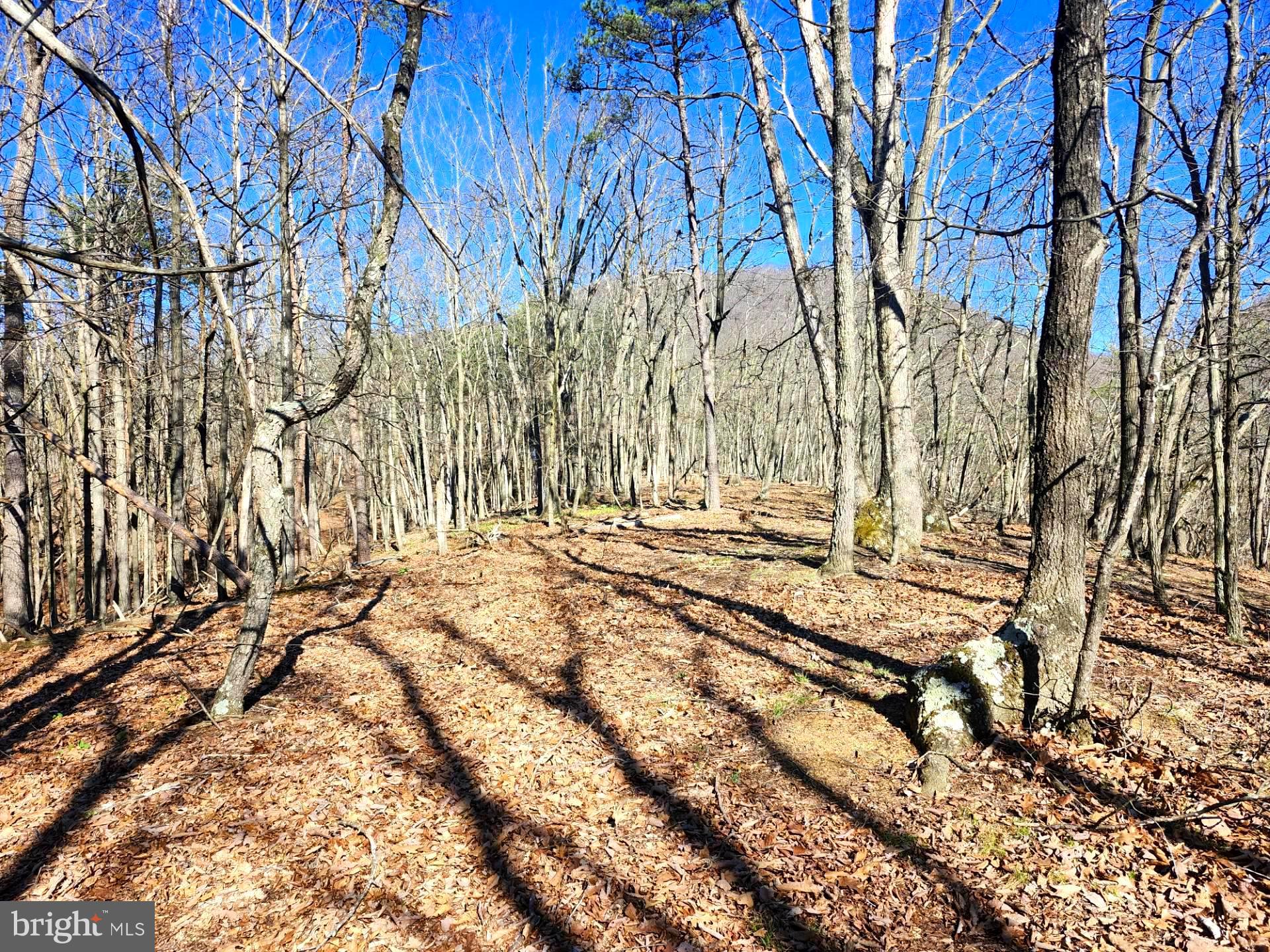 A J Kelley Road Old Fields, WV 26845 - Photo 13 of 36