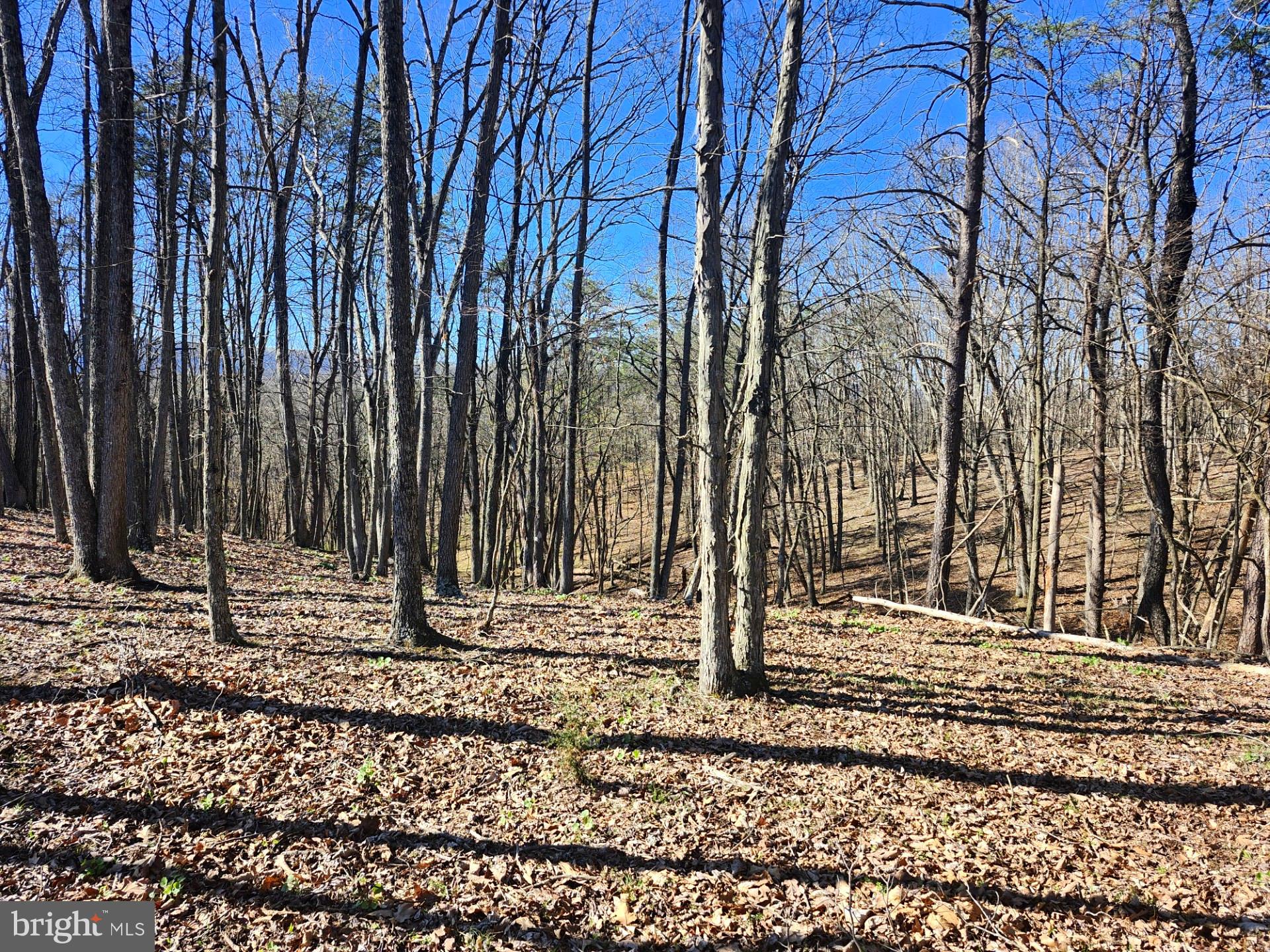 A J Kelley Road Old Fields, WV 26845 - Photo 15 of 36