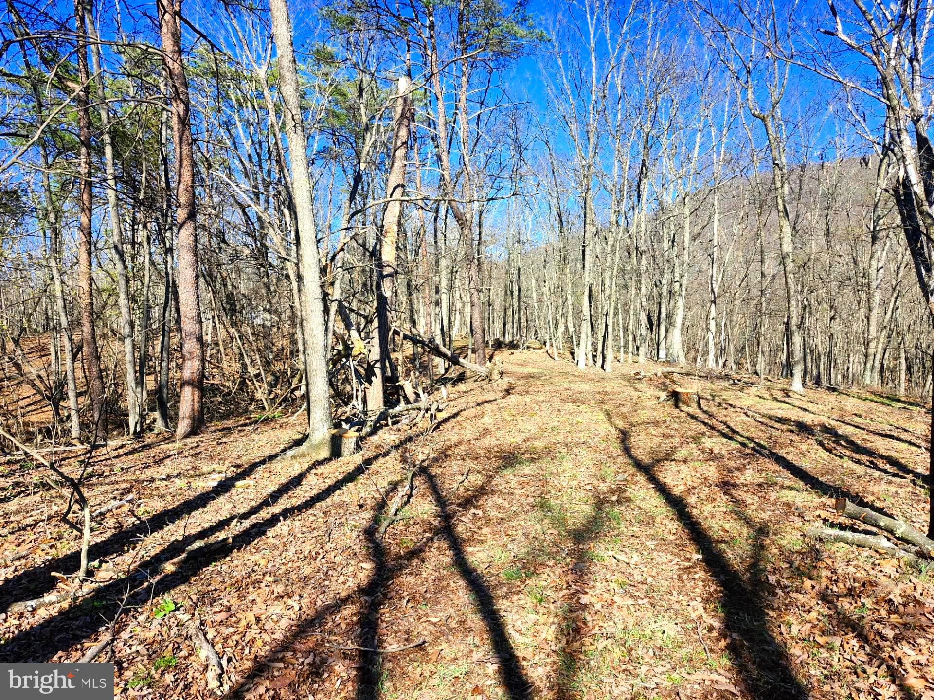 A J Kelley Road Old Fields, WV 26845 - Photo 16 of 36