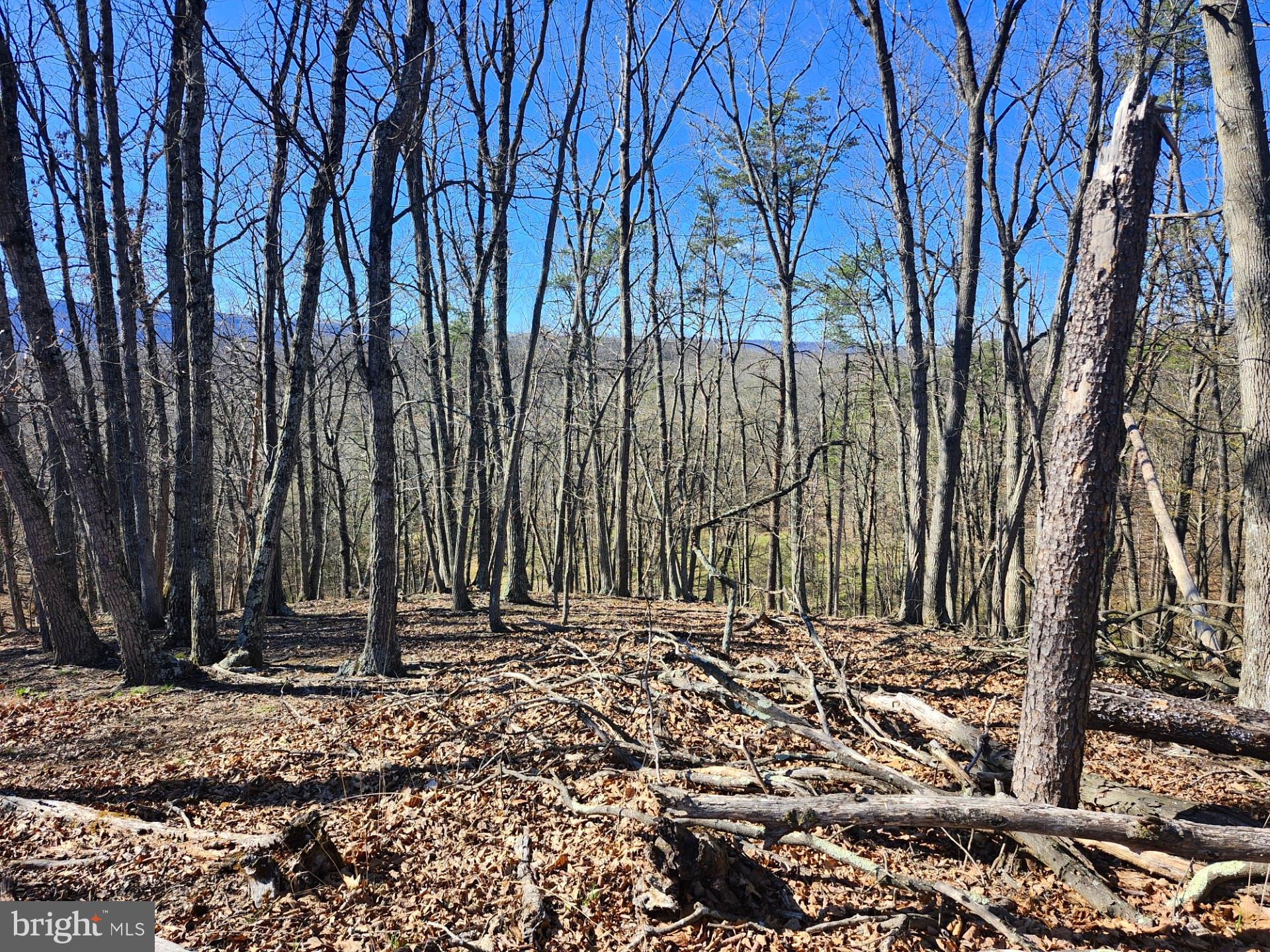 A J Kelley Road Old Fields, WV 26845 - Photo 18 of 36