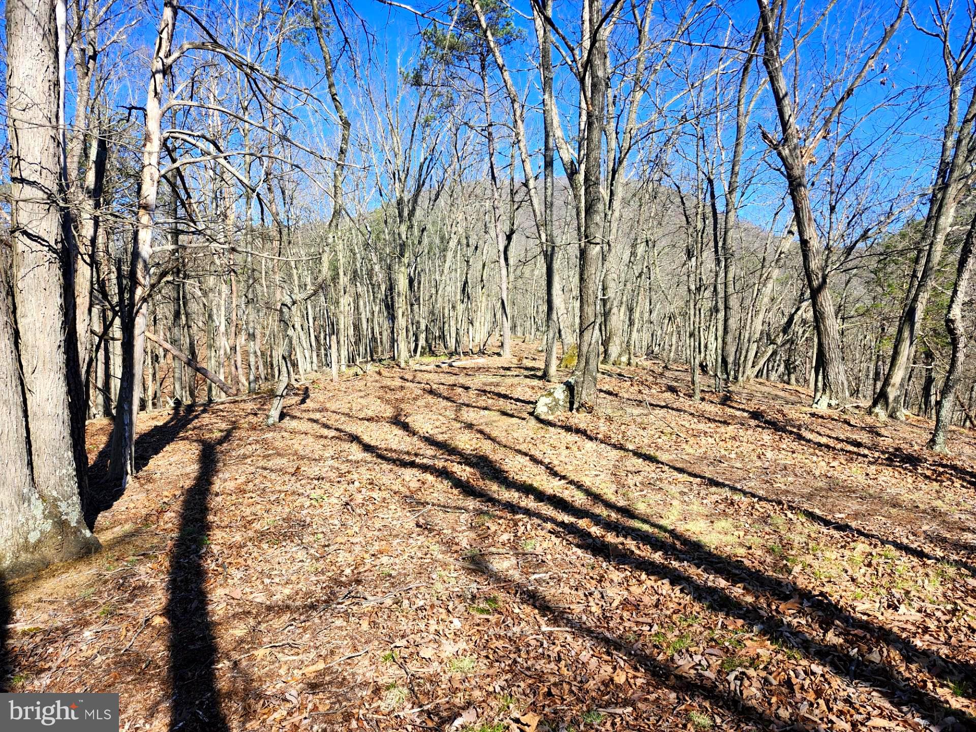 A J Kelley Road Old Fields, WV 26845 - Photo 19 of 36