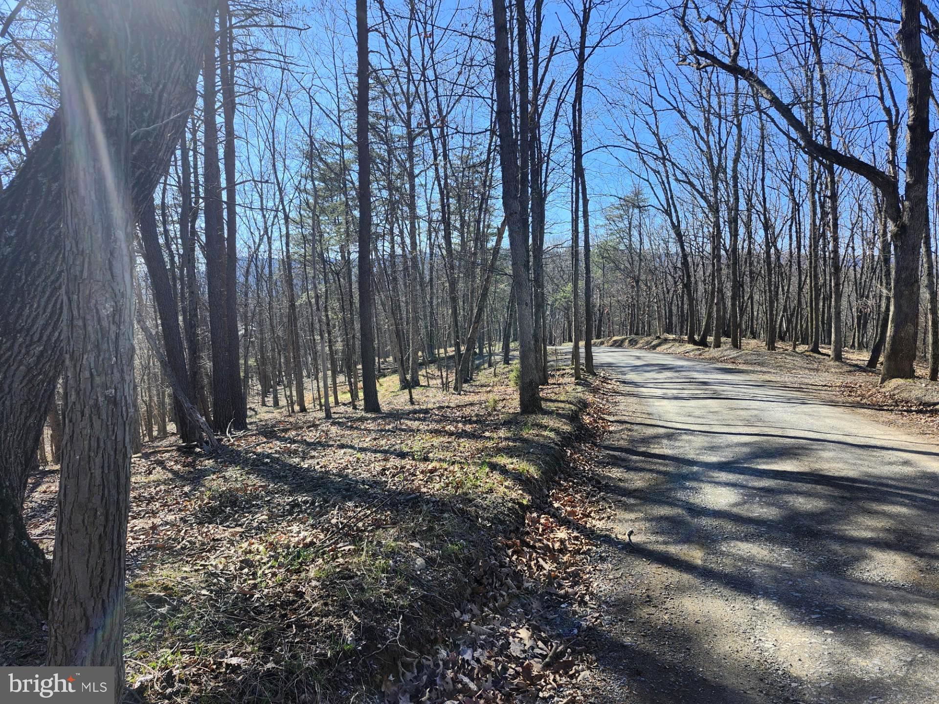 A J Kelley Road Old Fields, WV 26845 - Photo 20 of 36