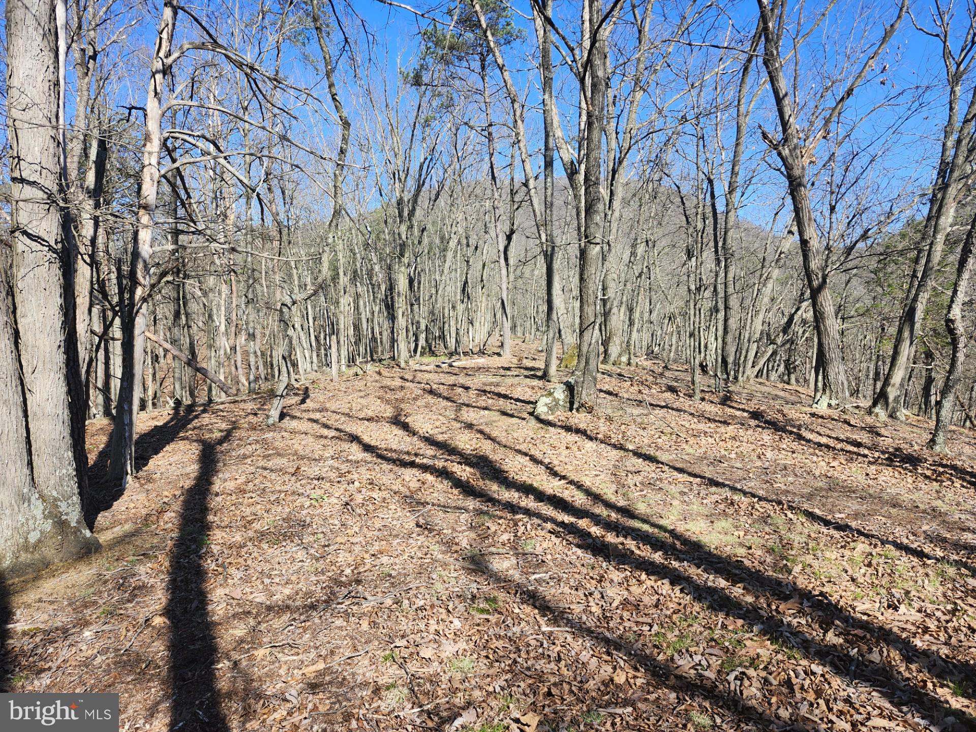 A J Kelley Road Old Fields, WV 26845 - Photo 21 of 36