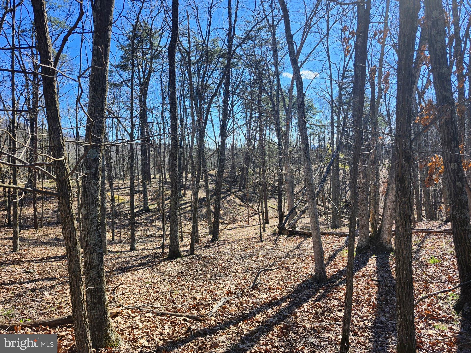 A J Kelley Road Old Fields, WV 26845 - Photo 22 of 36