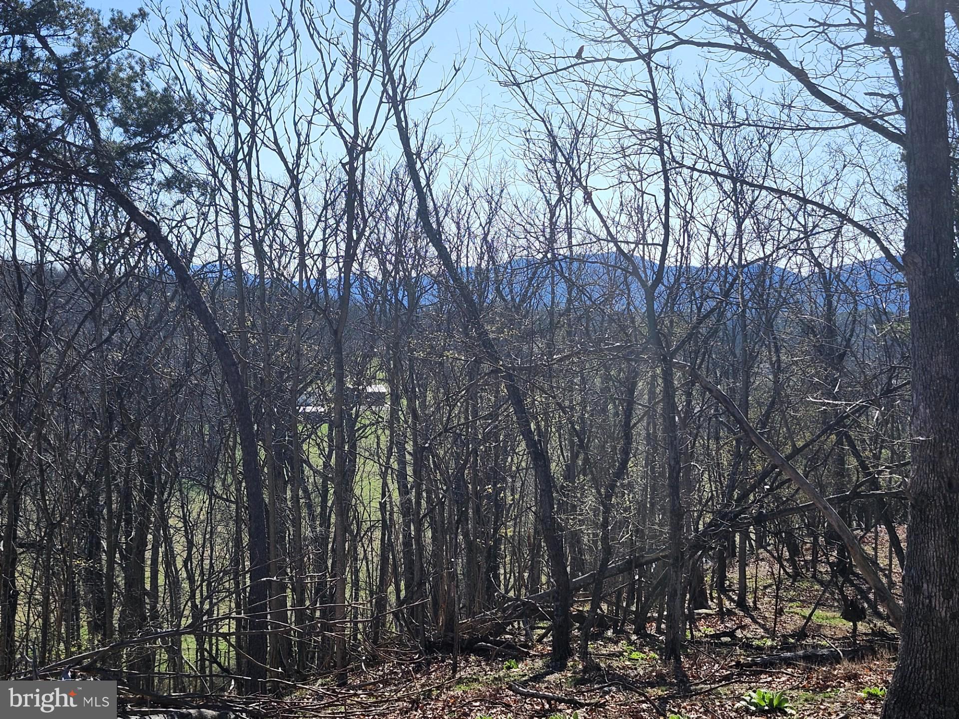 A J Kelley Road Old Fields, WV 26845 - Photo 24 of 36