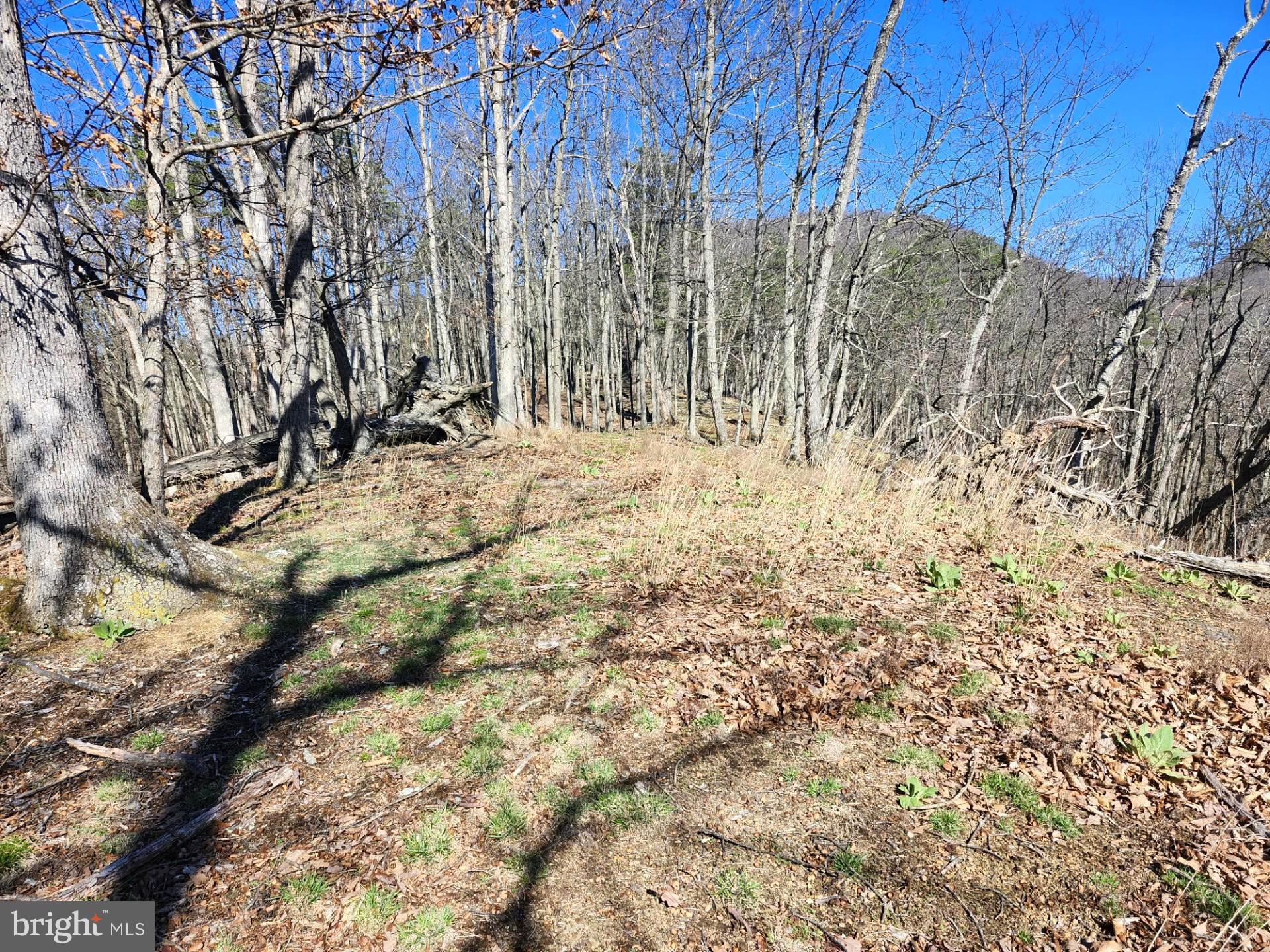 A J Kelley Road Old Fields, WV 26845 - Photo 25 of 36