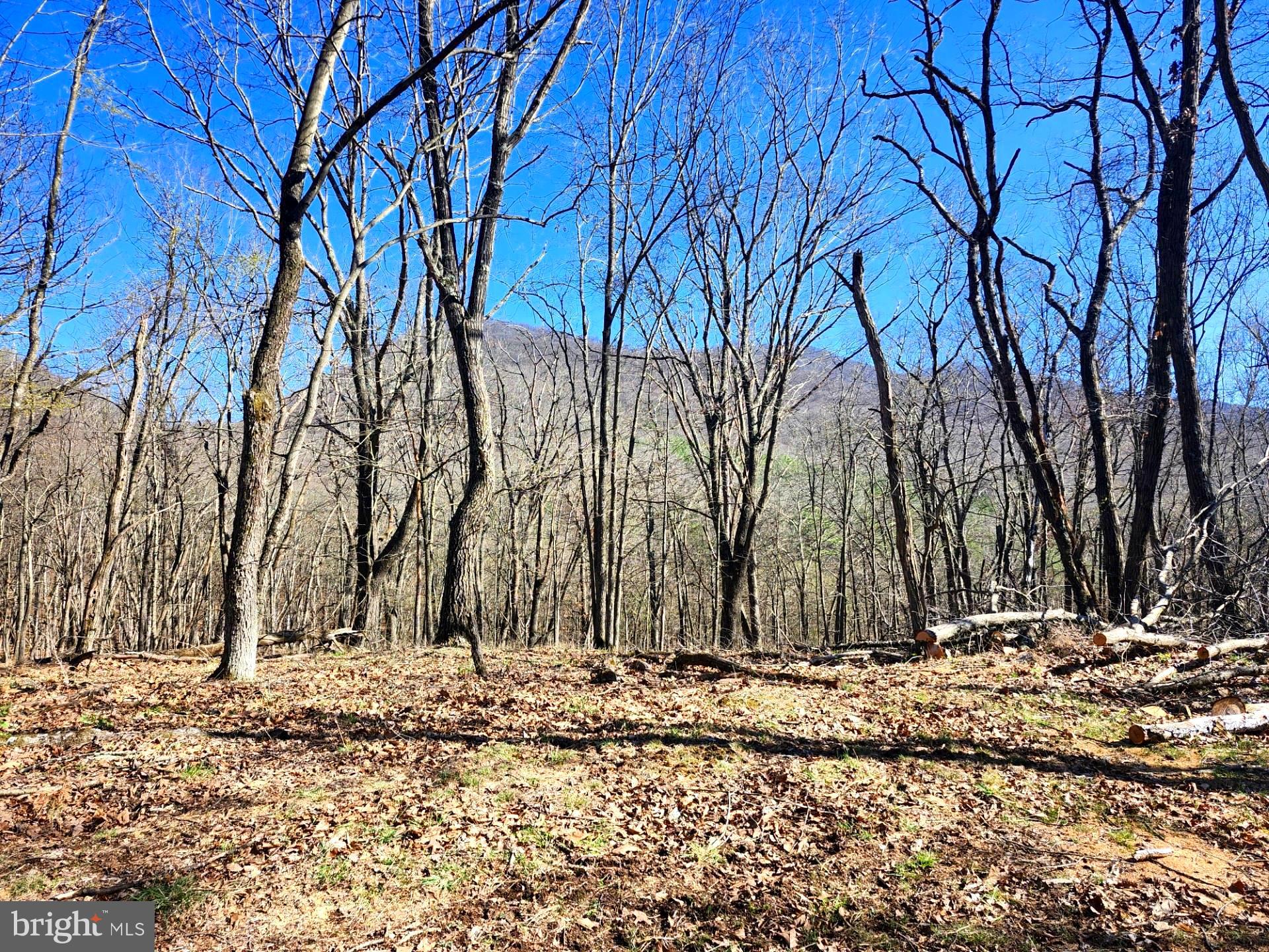 A J Kelley Road Old Fields, WV 26845 - Photo 26 of 36