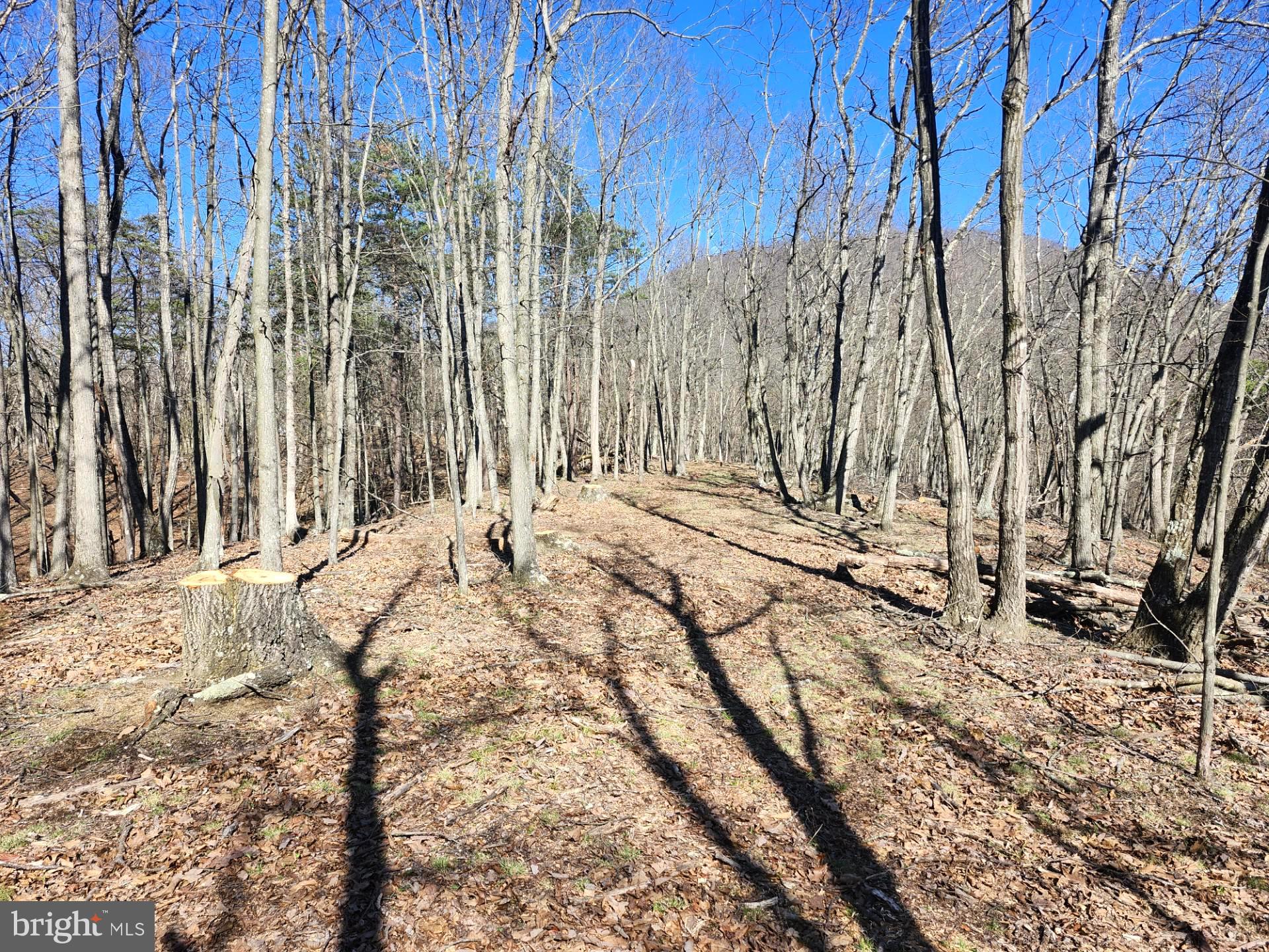 A J Kelley Road Old Fields, WV 26845 - Photo 27 of 36