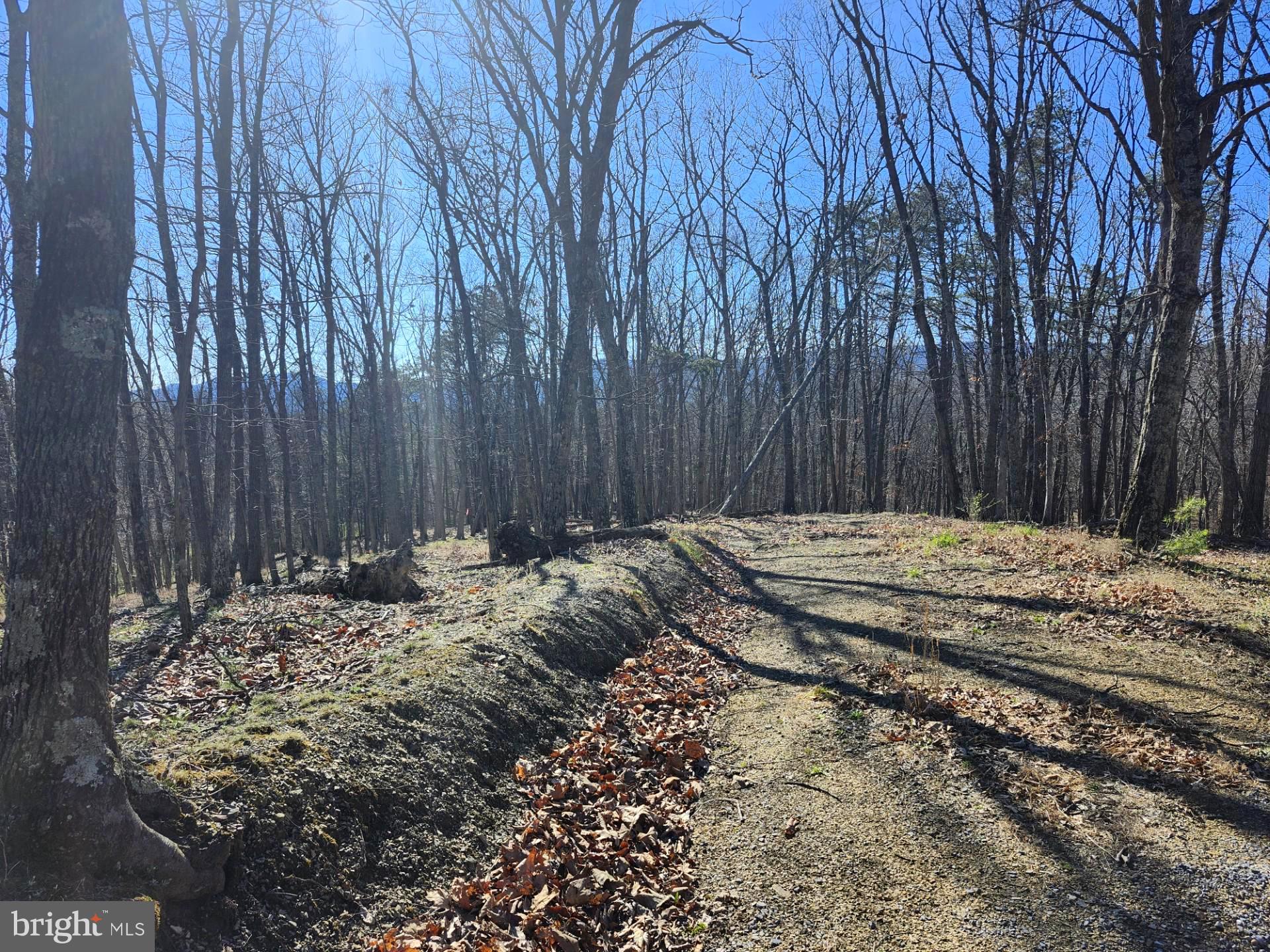 A J Kelley Road Old Fields, WV 26845 - Photo 29 of 36