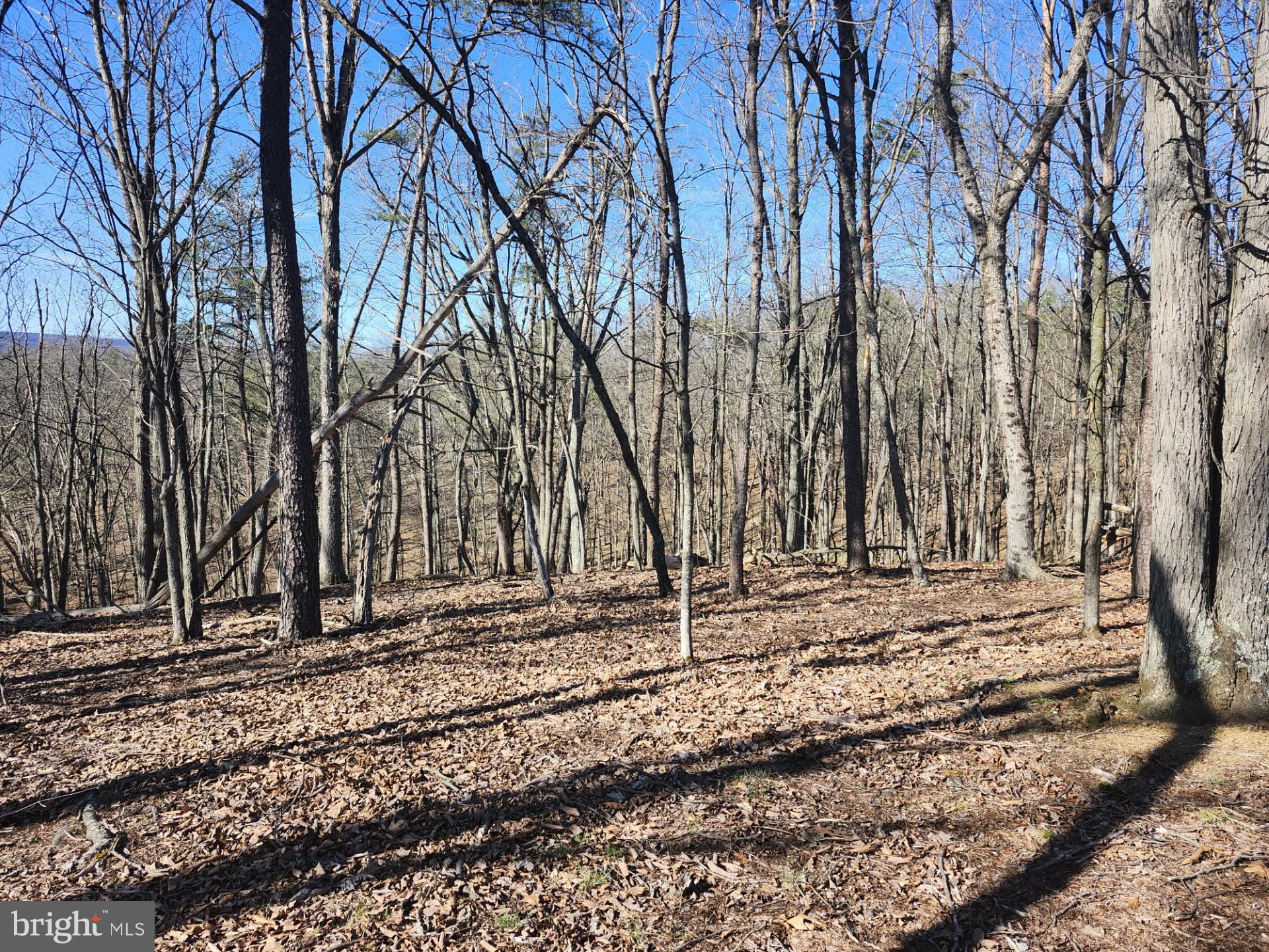 A J Kelley Road Old Fields, WV 26845 - Photo 30 of 36