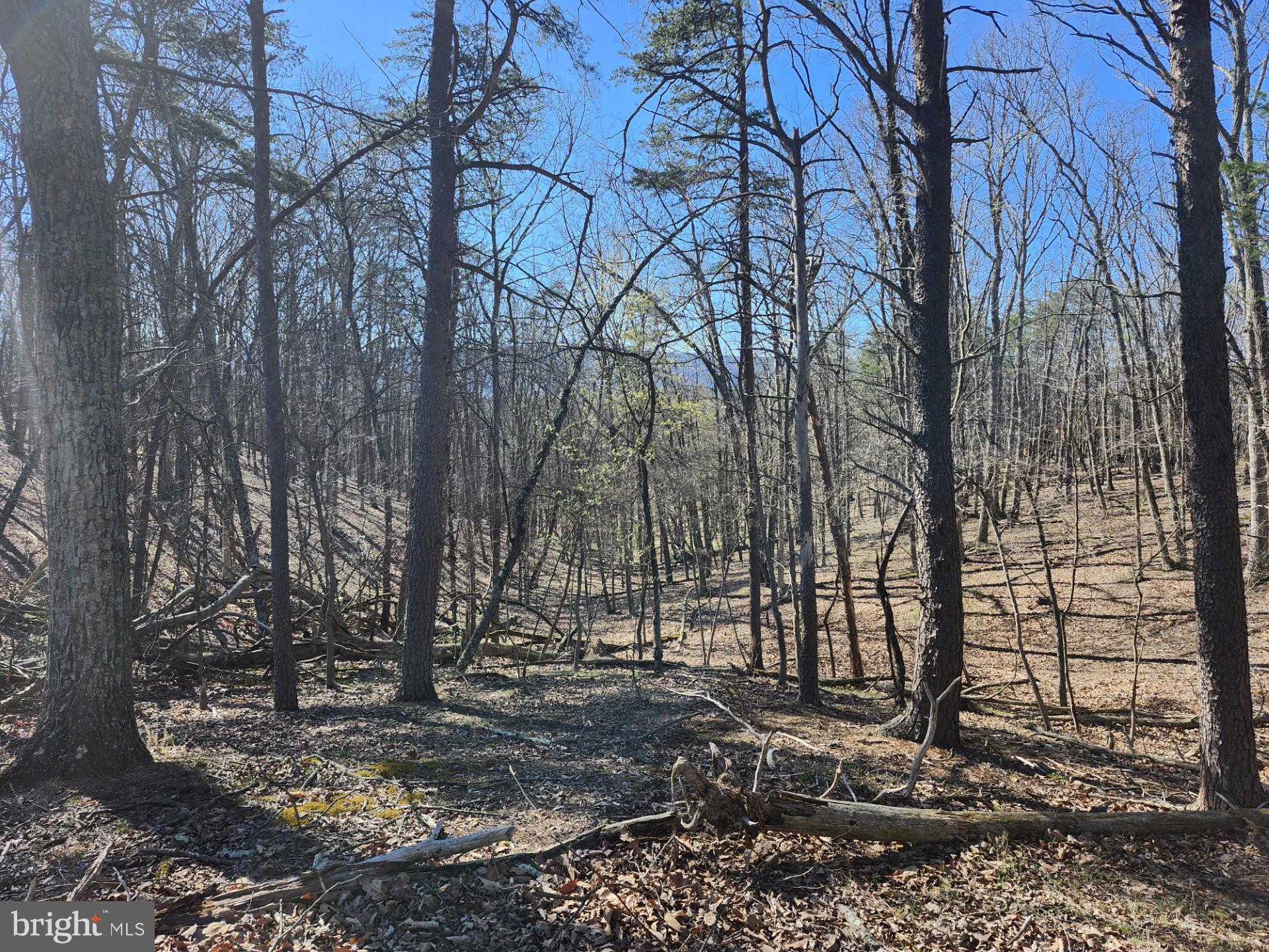 A J Kelley Road Old Fields, WV 26845 - Photo 31 of 36