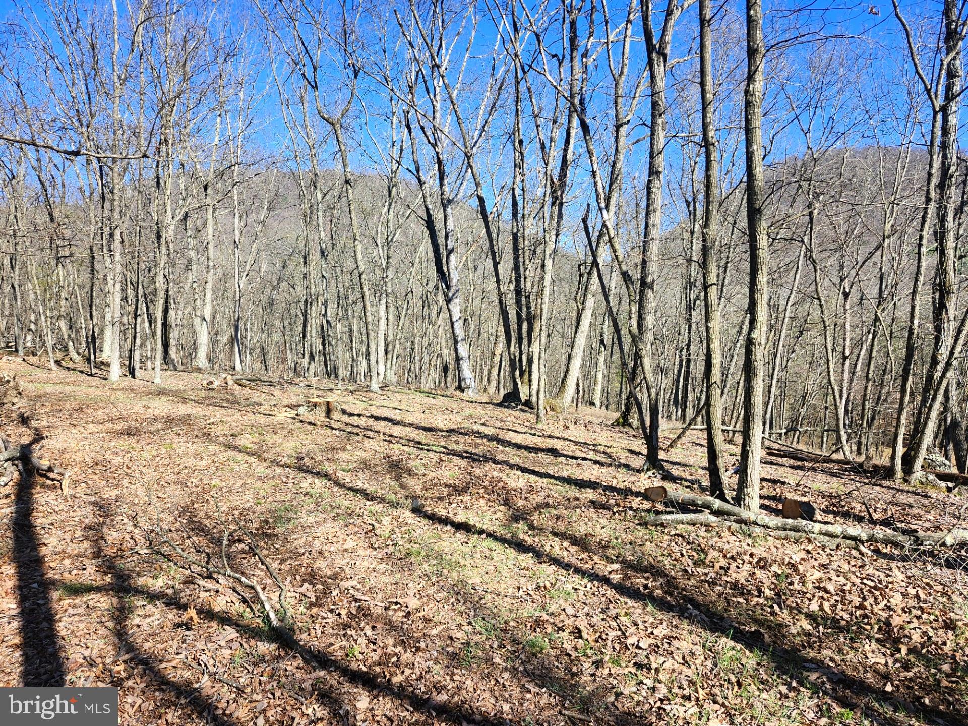 A J Kelley Road Old Fields, WV 26845 - Photo 32 of 36