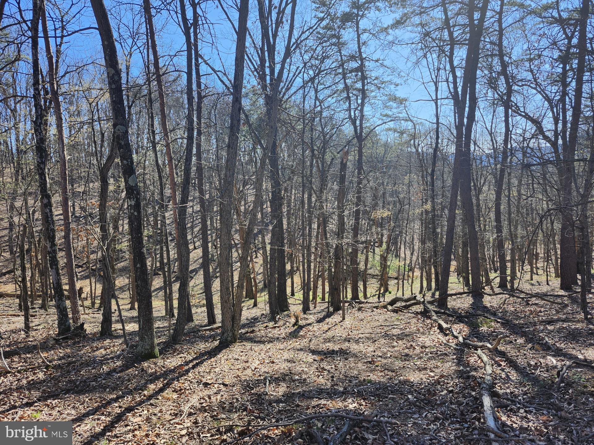 A J Kelley Road Old Fields, WV 26845 - Photo 33 of 36