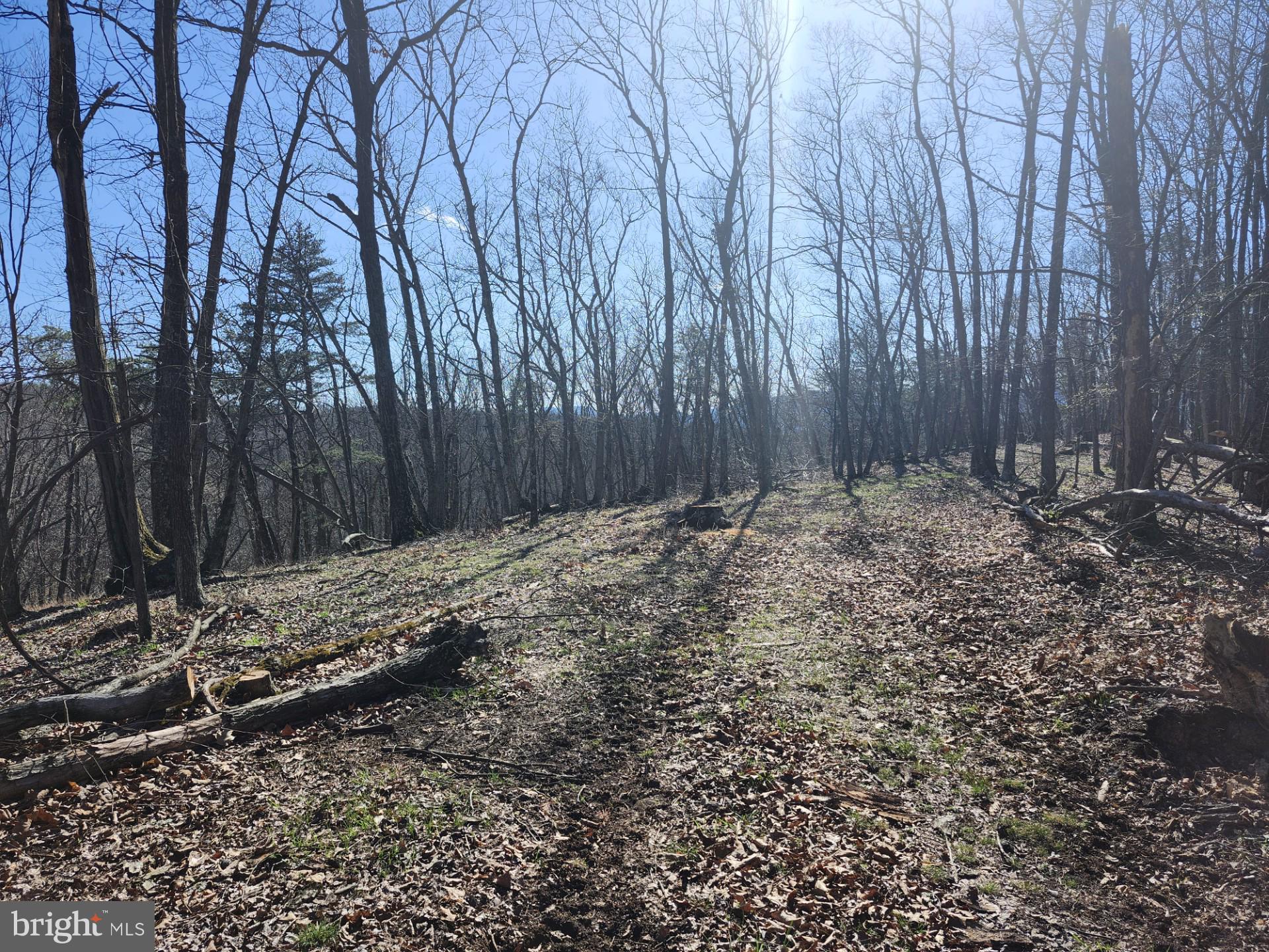 A J Kelley Road Old Fields, WV 26845 - Photo 34 of 36