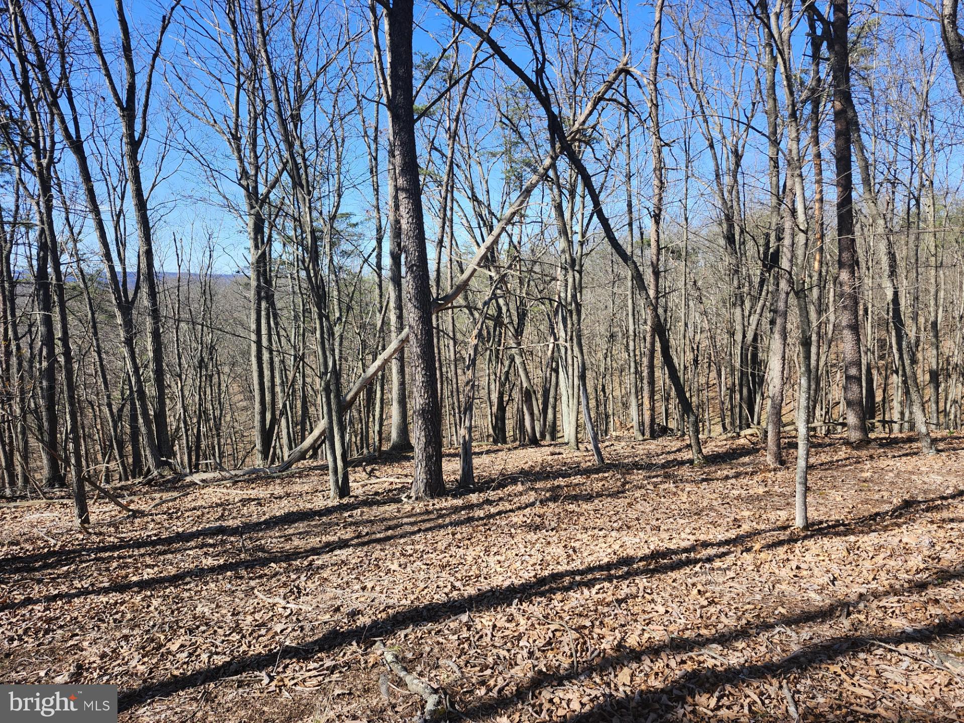 A J Kelley Road Old Fields, WV 26845 - Photo 35 of 36