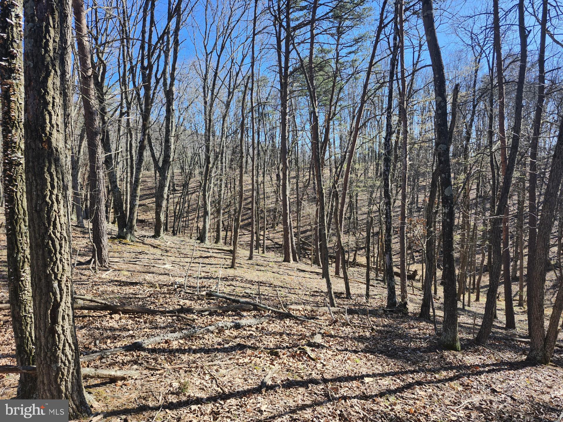 A J Kelley Road Old Fields, WV 26845 - Photo 36 of 36