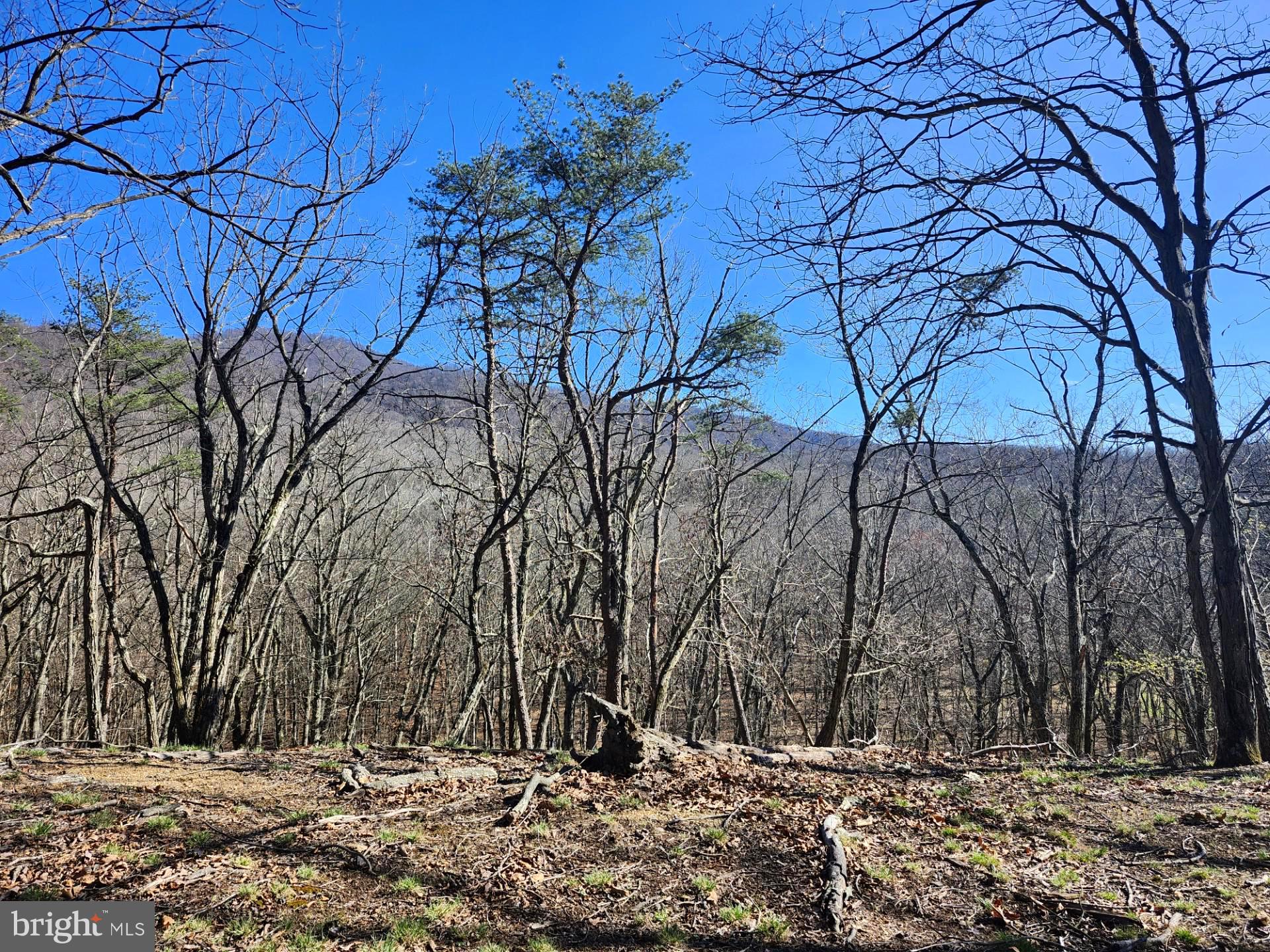 A J Kelley Road Old Fields, WV 26845 - Photo 8 of 36