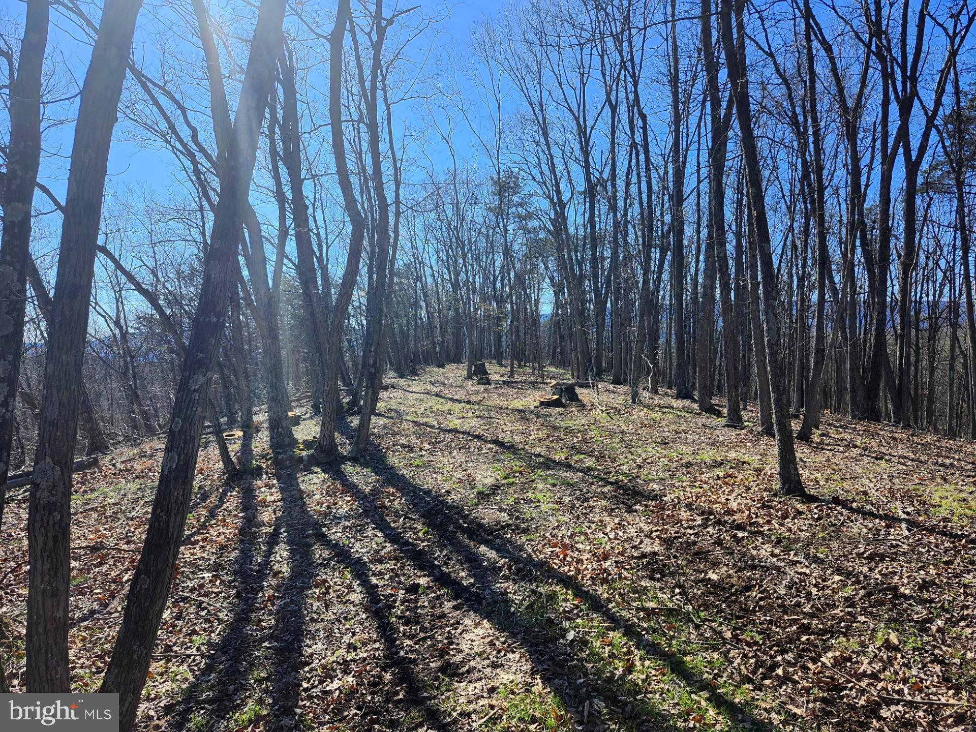 A J Kelley Road Old Fields, WV 26845 - Photo 9 of 36
