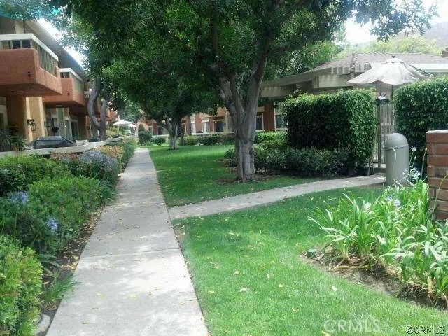 a view of a yard with plants and large trees