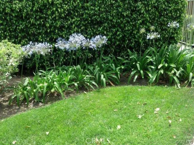 a view of front of house with a yard