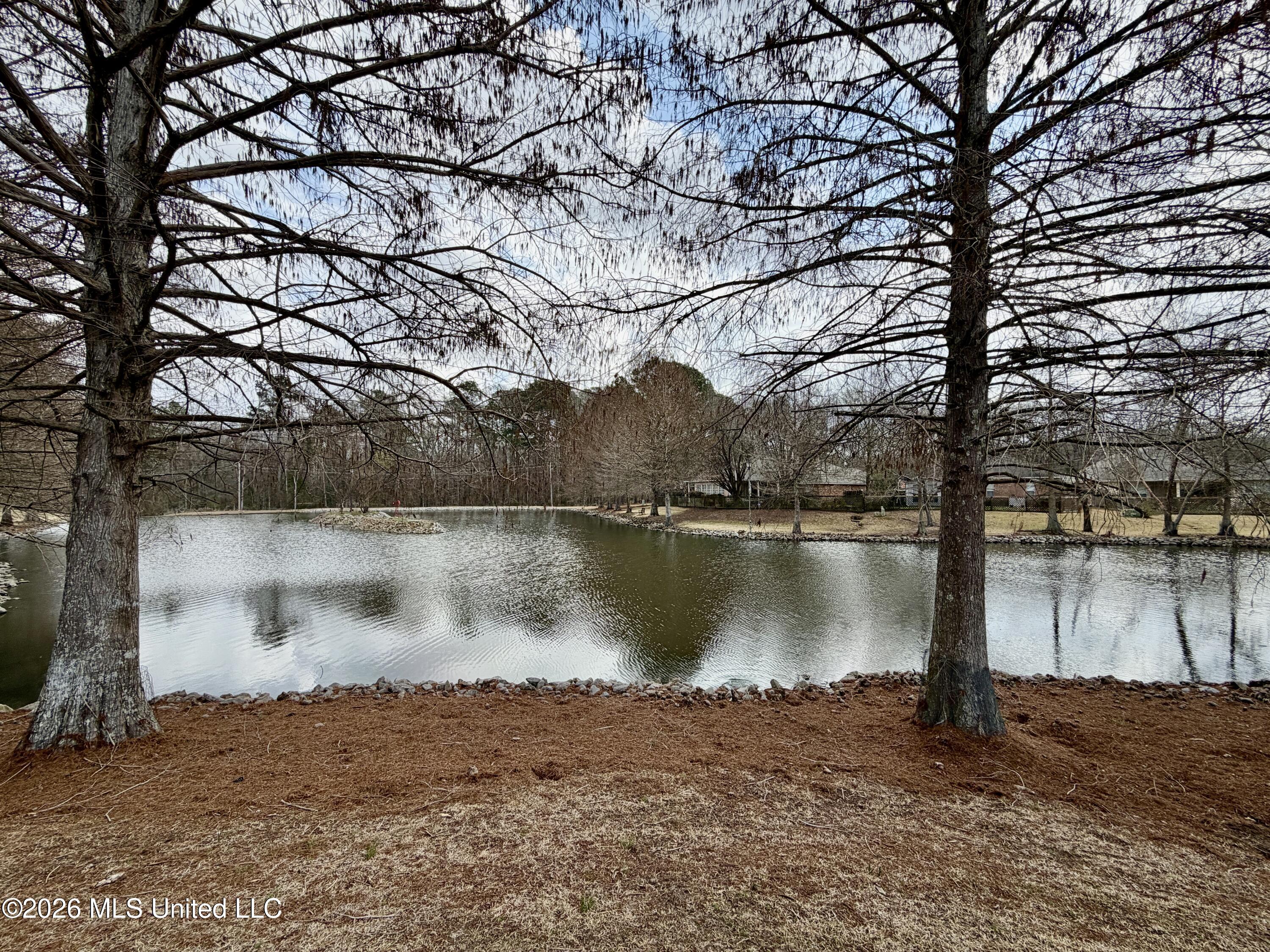 420 Twin Lakes North Clinton, MS 39056 - Photo 5 of 26 IMG_0763