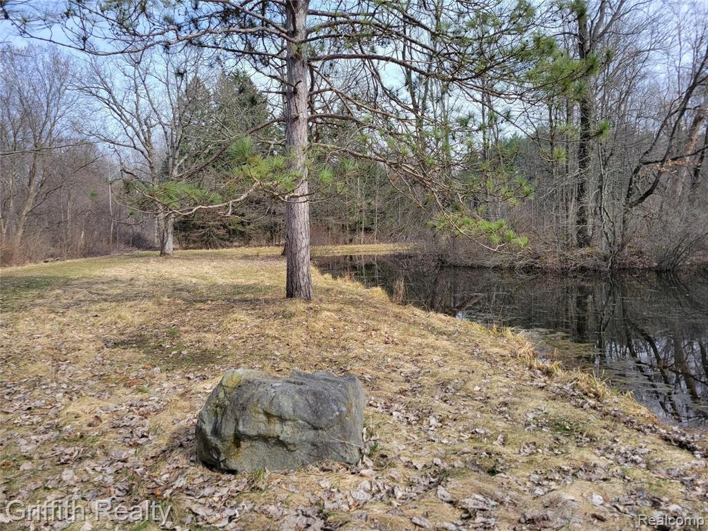 501 South Kellogg Road Howell, MI 48843 - Photo 8 of 13