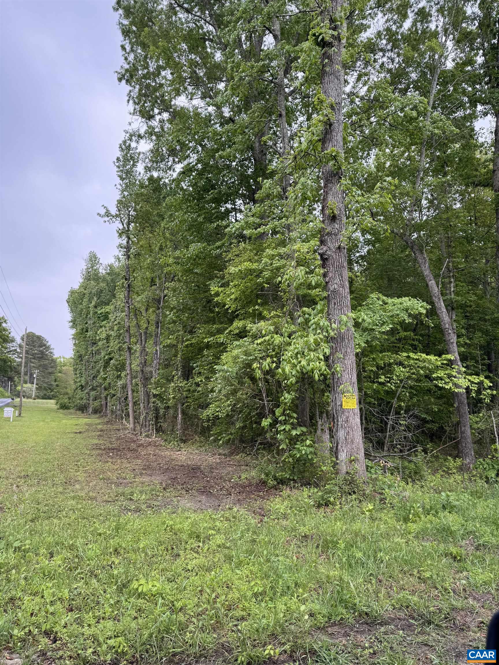 0 Jack Jouett Road West Zion Crossroads, VA 22942 - Photo 3 of 3 a big yard with lots of green space and plants