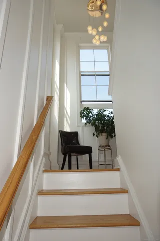 a view of staircase with a potted plant