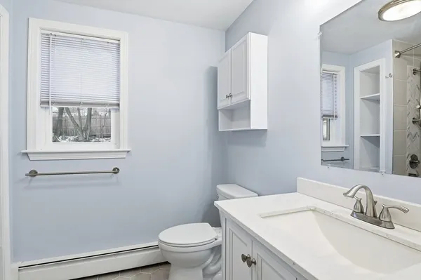 a bathroom with a sink toilet and vanity