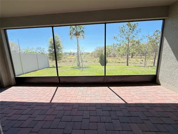 a view of a floor to ceiling window and an tree