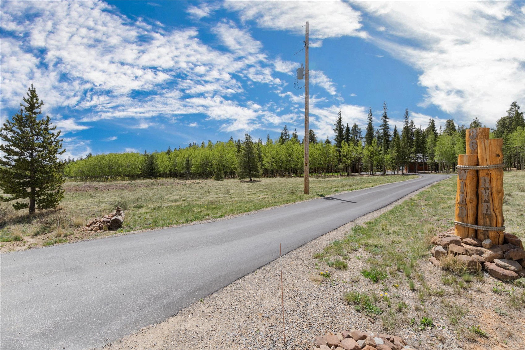 36 Wild Rye Road Fairplay, CO 80440 - Photo 41 of 50