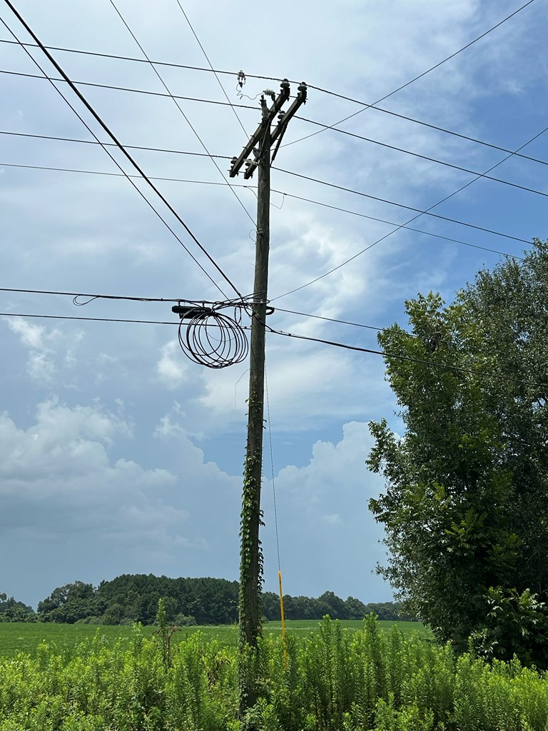 76.47-ac Eddins Road Dothan, AL 36301 - Photo 12 of 44