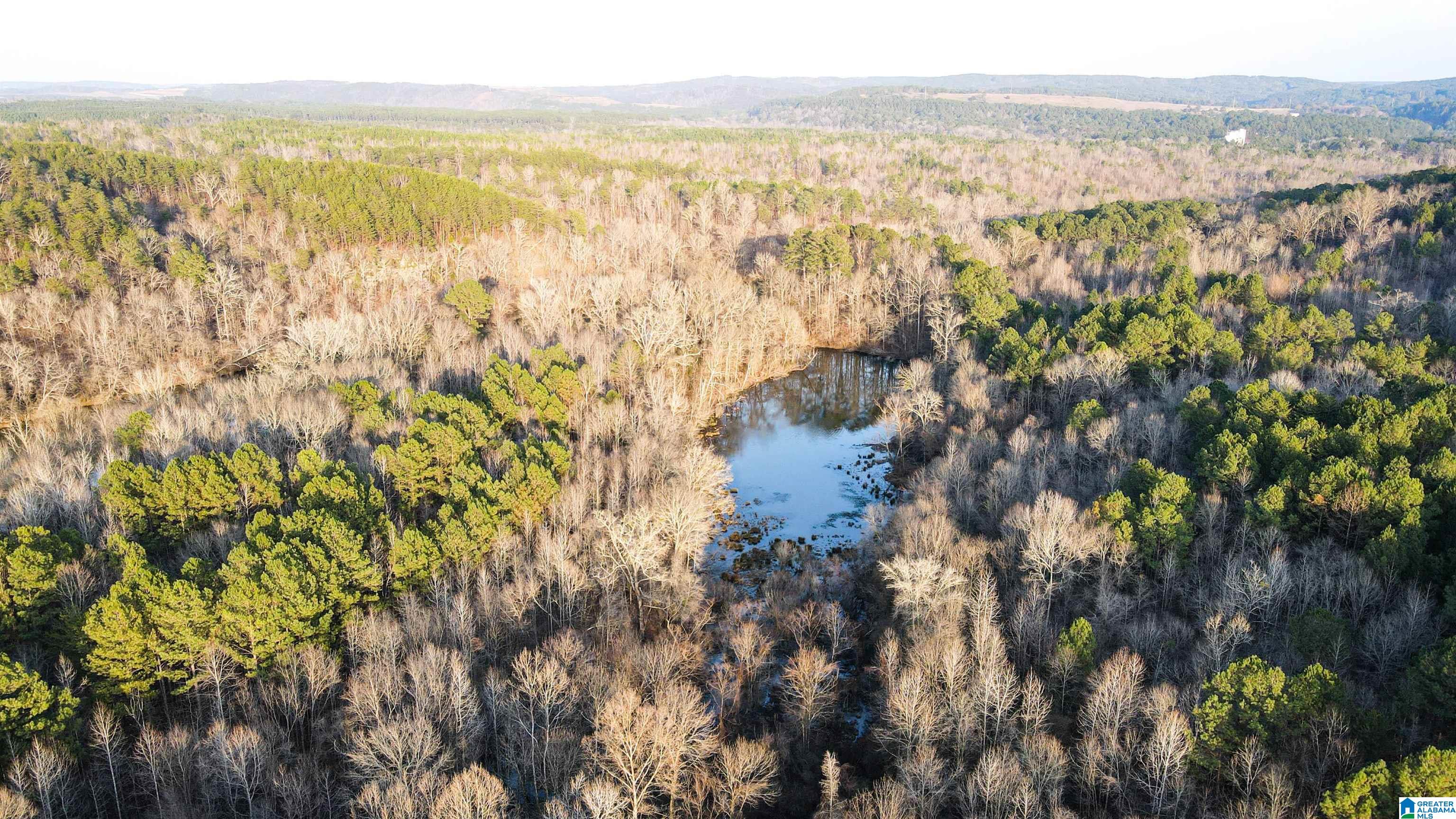 0 Parsons Loop Road Mulga, AL 35118 - Photo 6 of 38