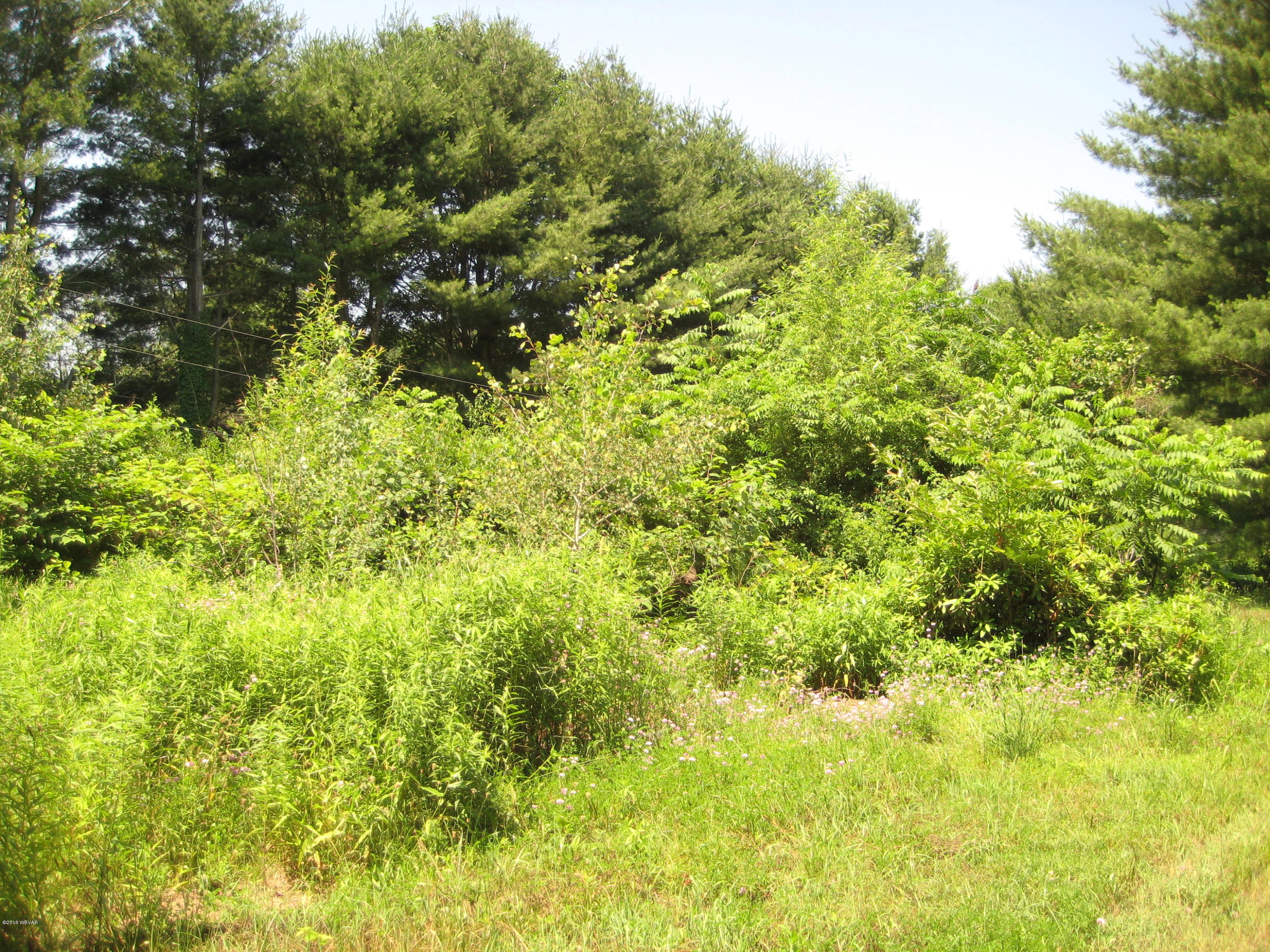 41 Buttonwood Road Hillsgrove, PA 18619 - Photo 12 of 15 IMG_2160