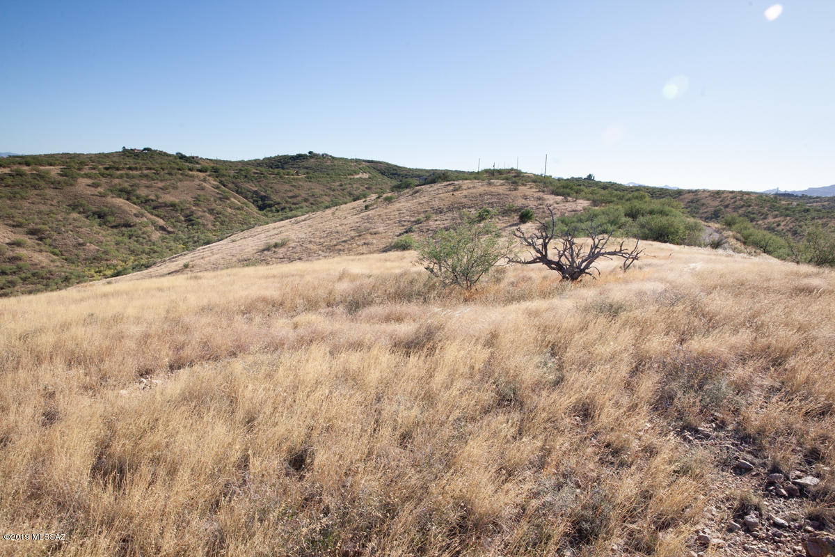 1363 Via Patricia, Unit 63 Rio Rico, AZ 85648 - Photo 3 of 8