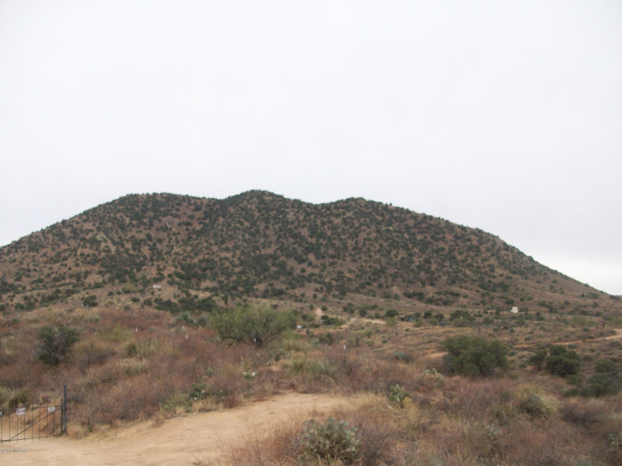 0 West Indian Pipe Road Tucson, AZ 85736 - Photo 2 of 3