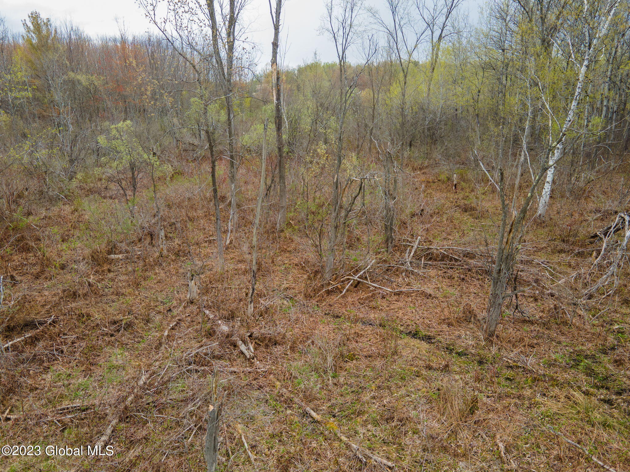 1021 Westfall Road Wright, NY 12053 - Photo 12 of 16 12-web-or-mls-1021WestfallRd-12