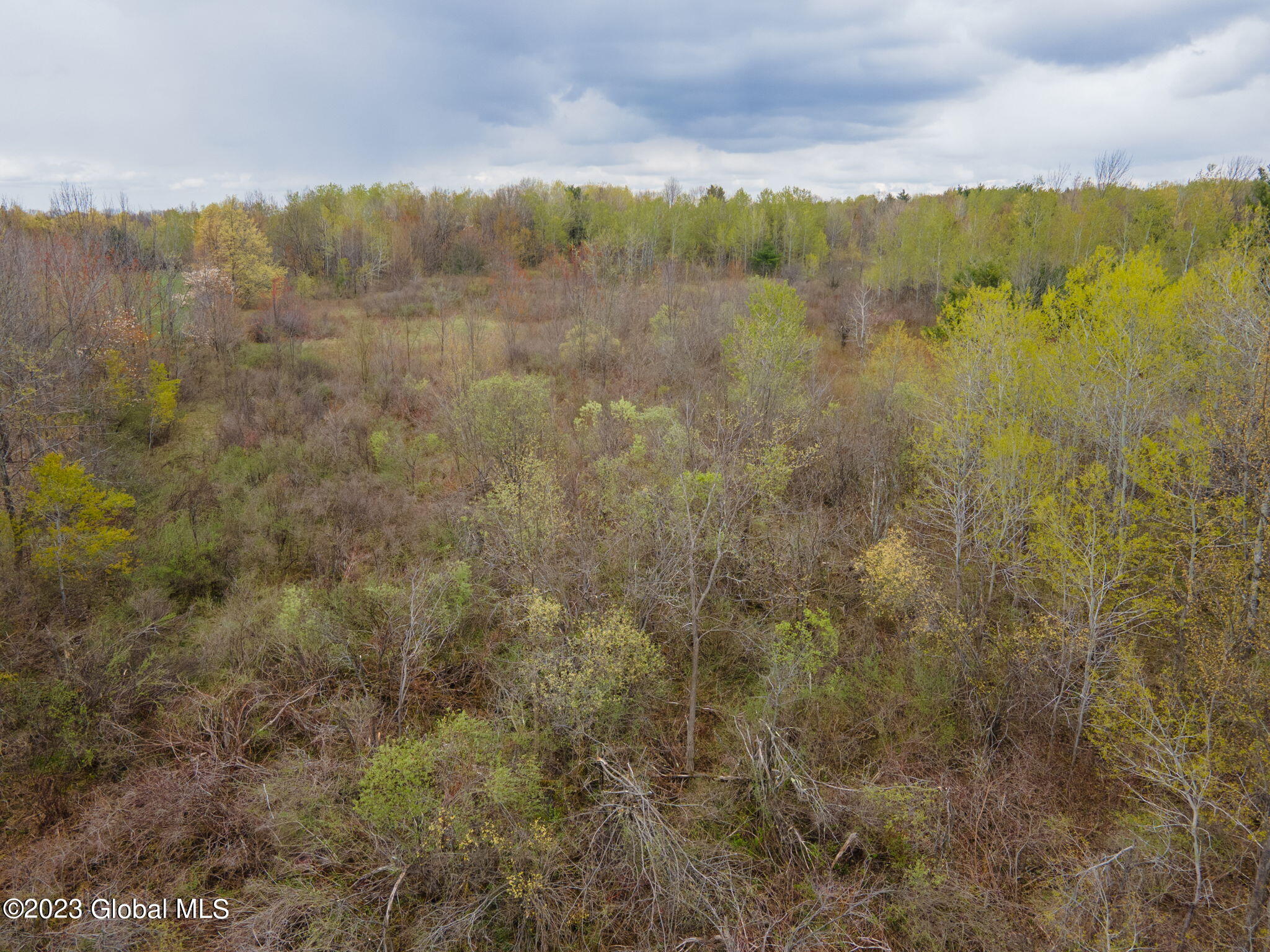 1021 Westfall Road Wright, NY 12053 - Photo 9 of 16 9-web-or-mls-1021WestfallRd-9