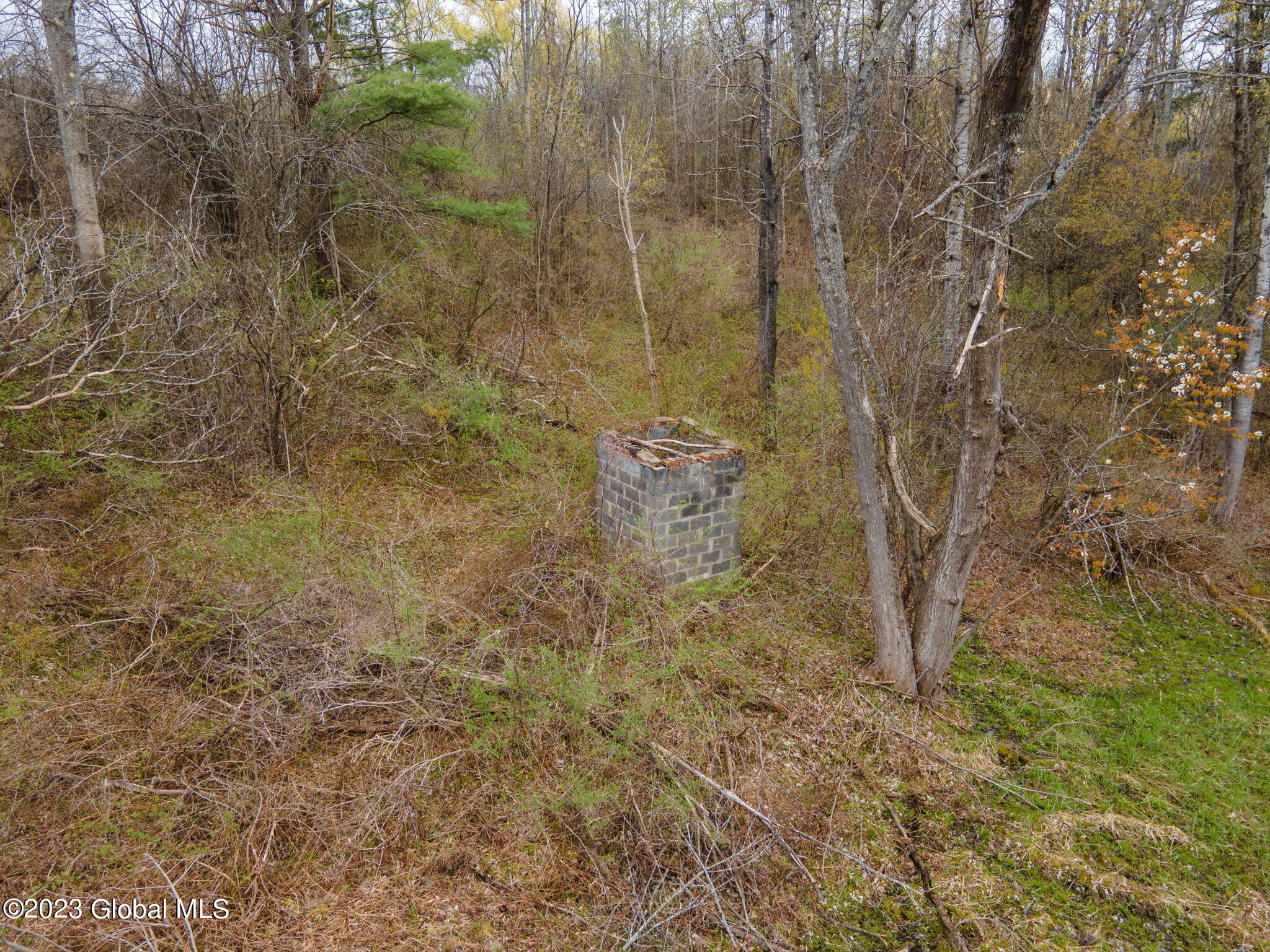 1021 Westfall Road Wright, NY 12053 - Photo 10 of 16 10-web-or-mls-1021WestfallRd-10