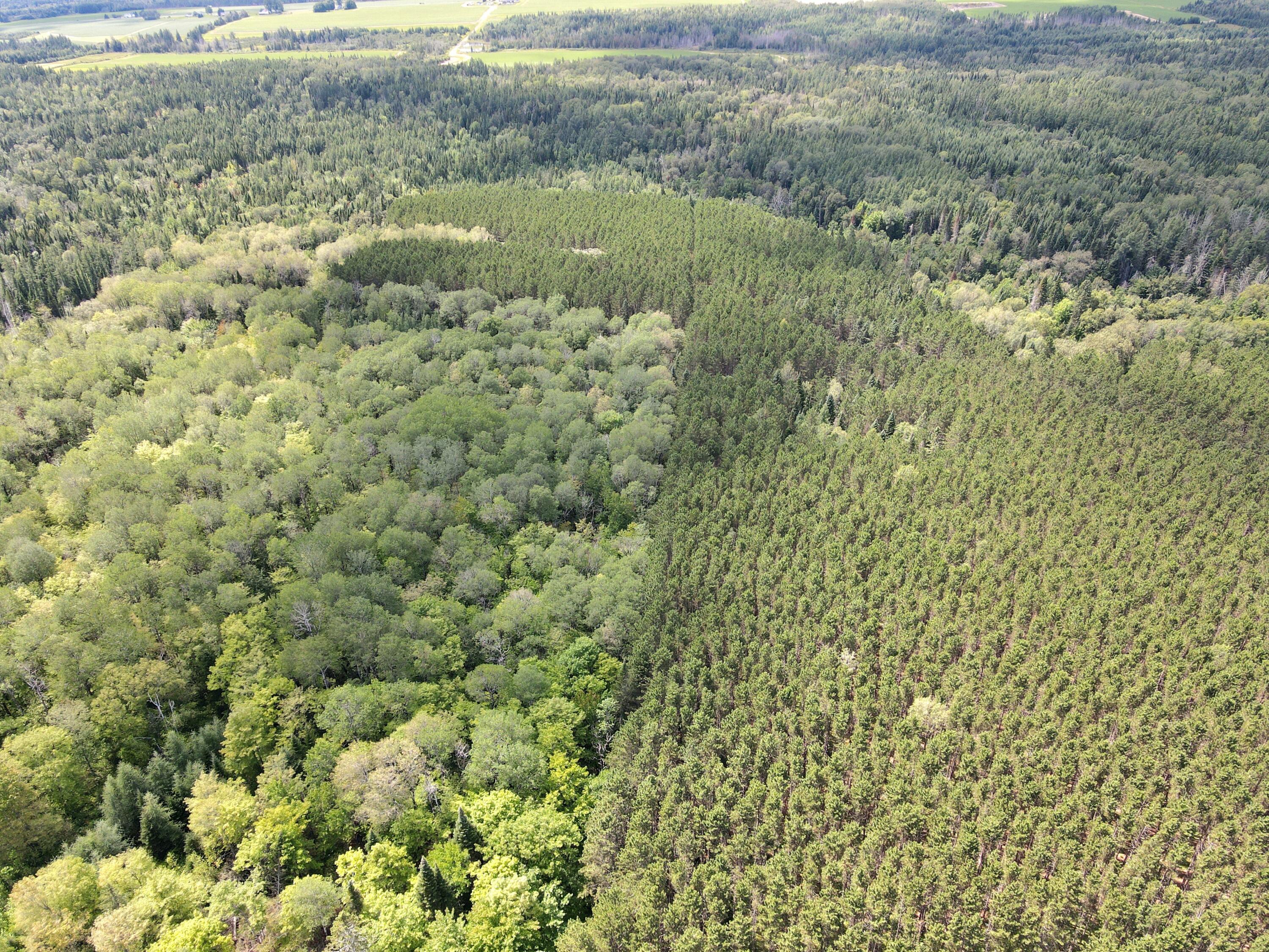 Lot 55-56 West Gate Road Caribou, ME 04736 - Photo 2 of 8 dji_fly_20230802_132744_972_169099921538