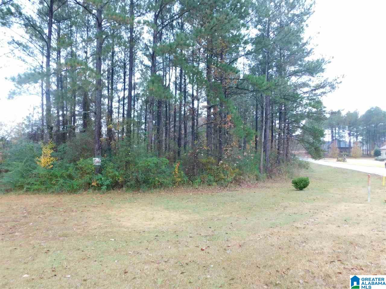Montcrest Street South, Unit 26 & 77 Cullman, AL 35057 - Photo 12 of 14