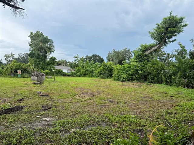 a view of a field with grass and trees