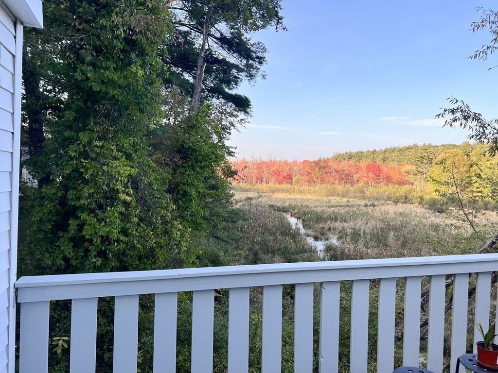 25 Main Road Phillipston, MA 01331 - Photo 36 of 42 a view of a forest from a balcony