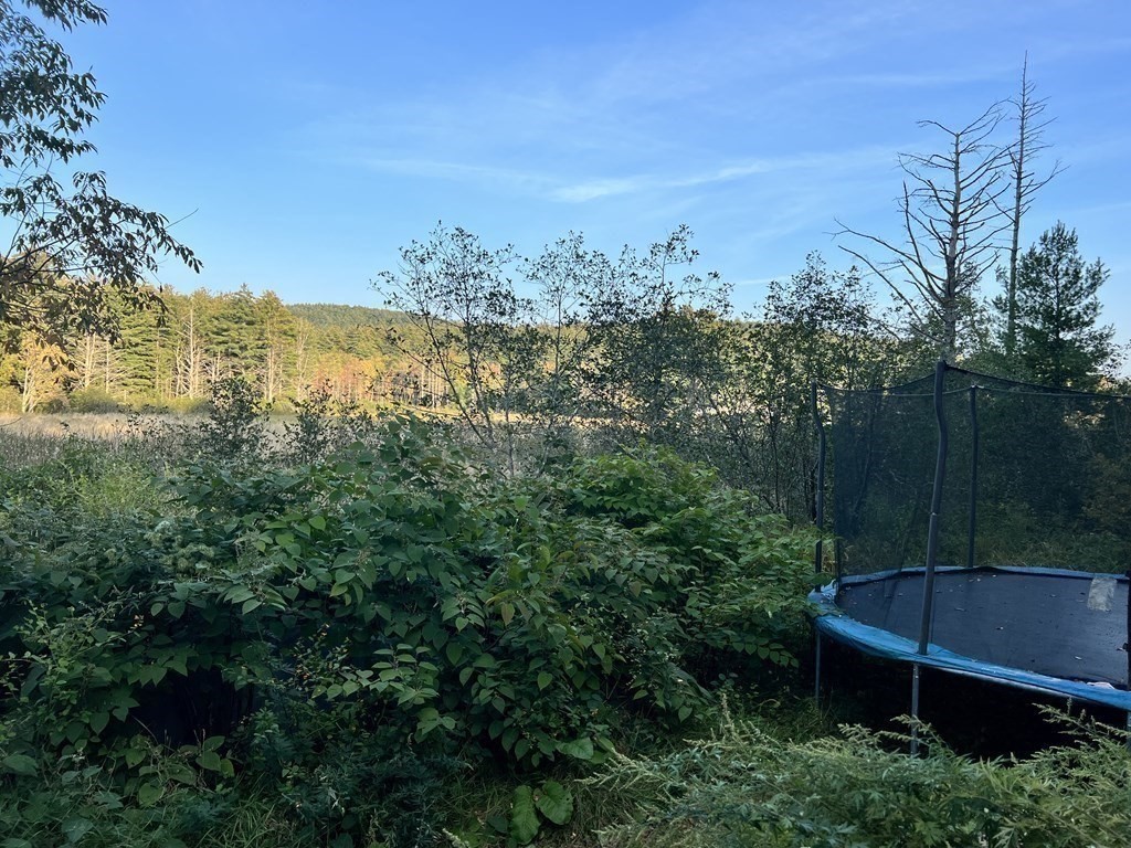 25 Main Road Phillipston, MA 01331 - Photo 7 of 42 a view of a yard