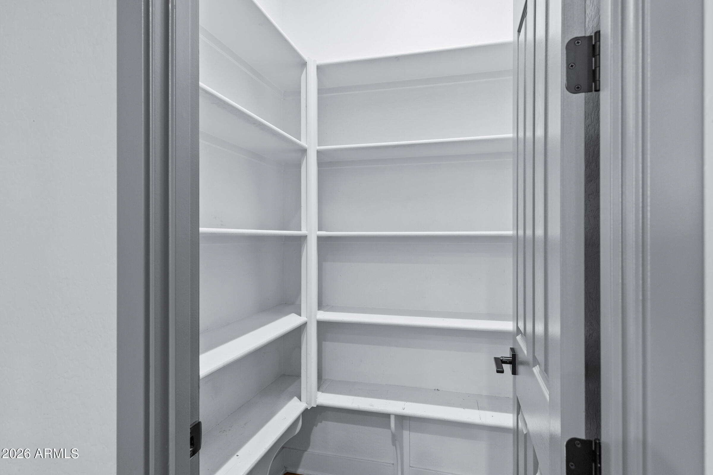 3900 East Appaloosa Road Gilbert, AZ 85296 - Photo 18 of 38 a view of walk in closet with empty racks