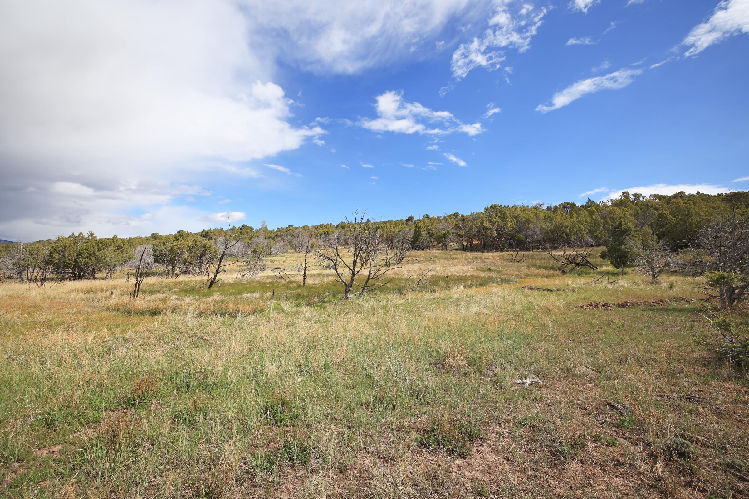 12705 55 Road Collbran, CO 81624 - Photo 11 of 31 a view of lake view and mountain