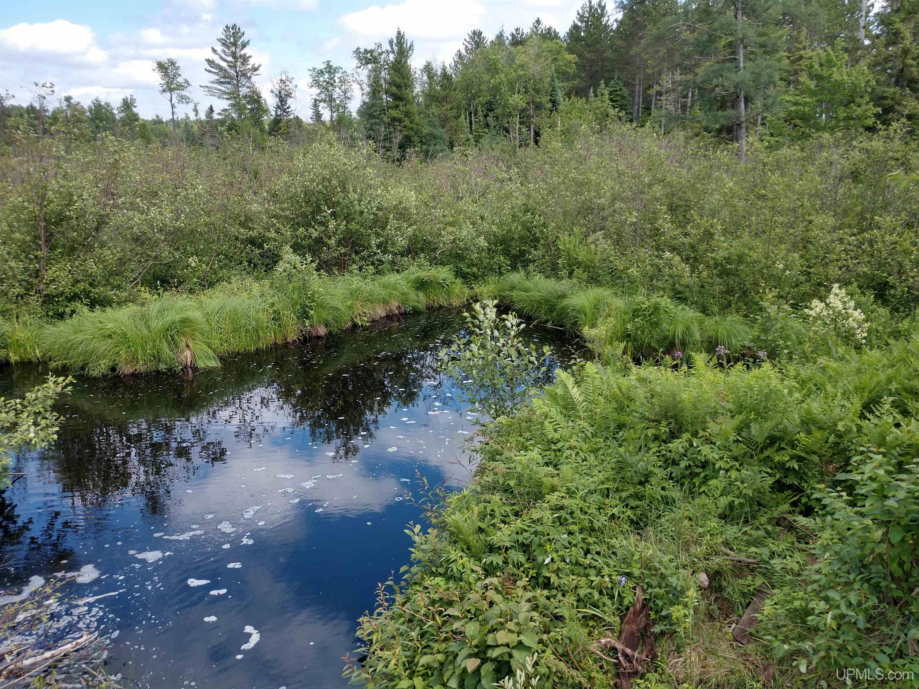 601 County Road 601 Road Republic, MI 49879 - Photo 24 of 60