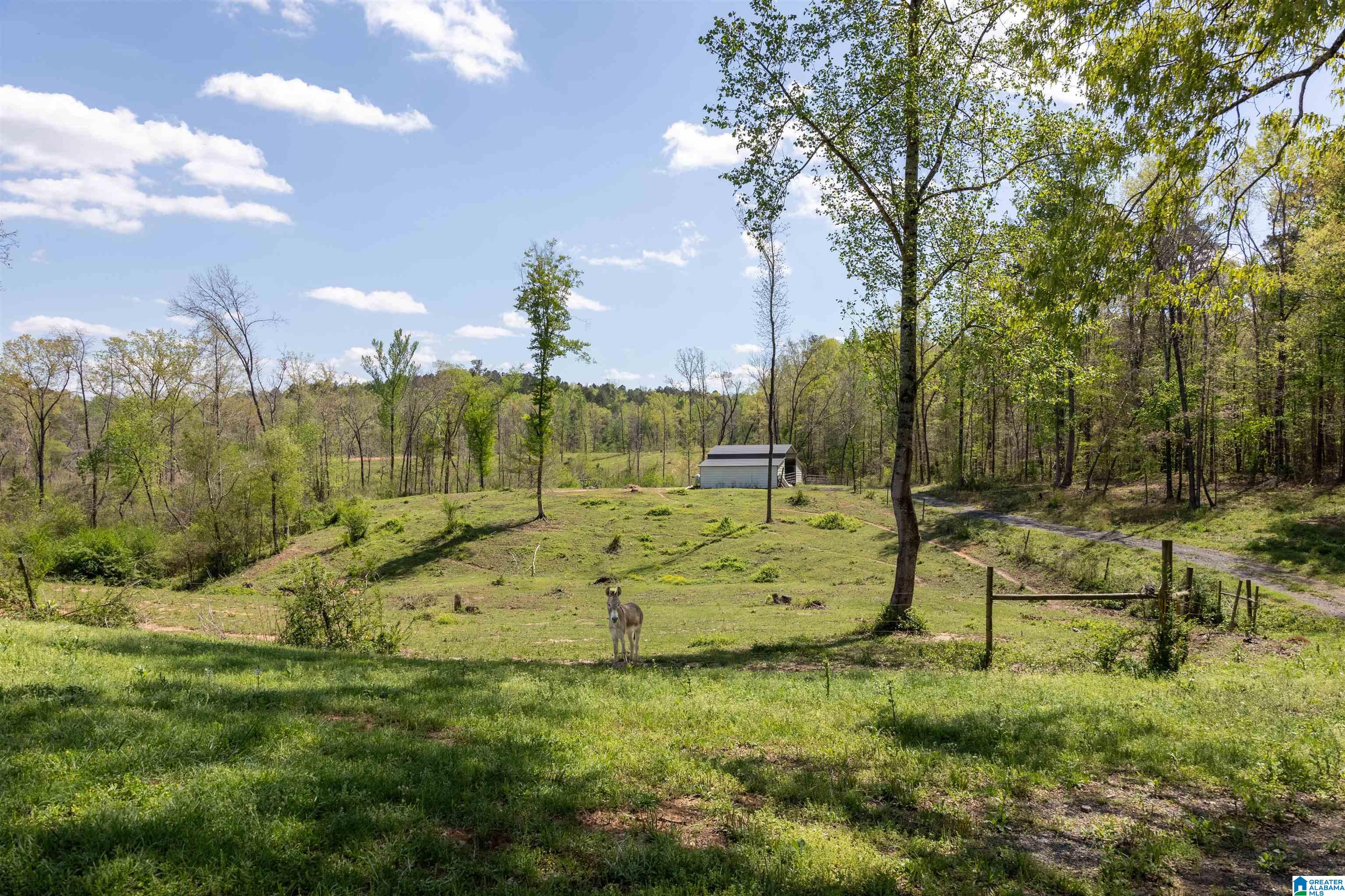 8328 Alliance Short Creek Road Bessemer, AL 35023 - Photo 18 of 23