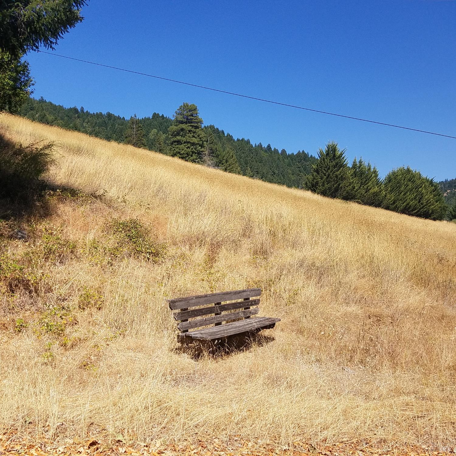 80050 Road 442b Road Piercy, CA 95587 - Photo 7 of 23